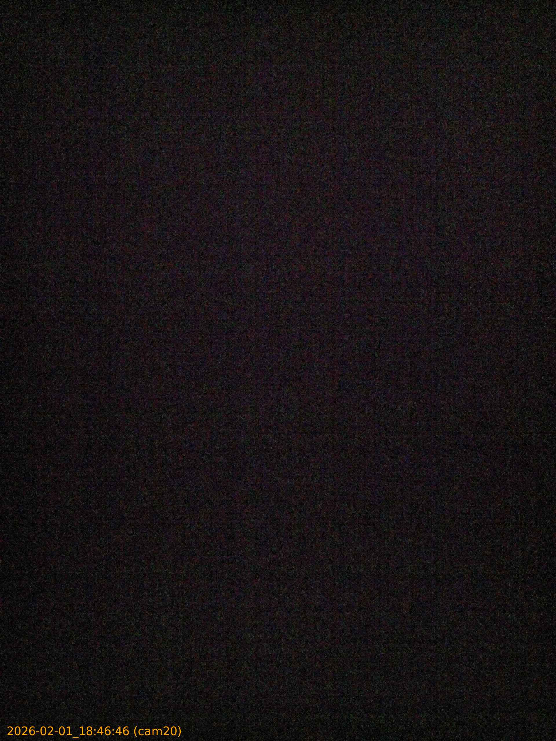 thumbnail_20260201184646