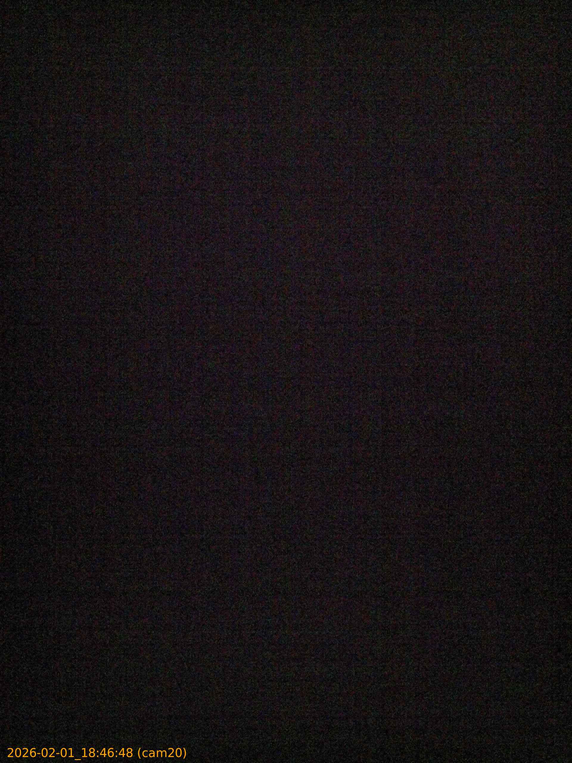 thumbnail_20260201184648