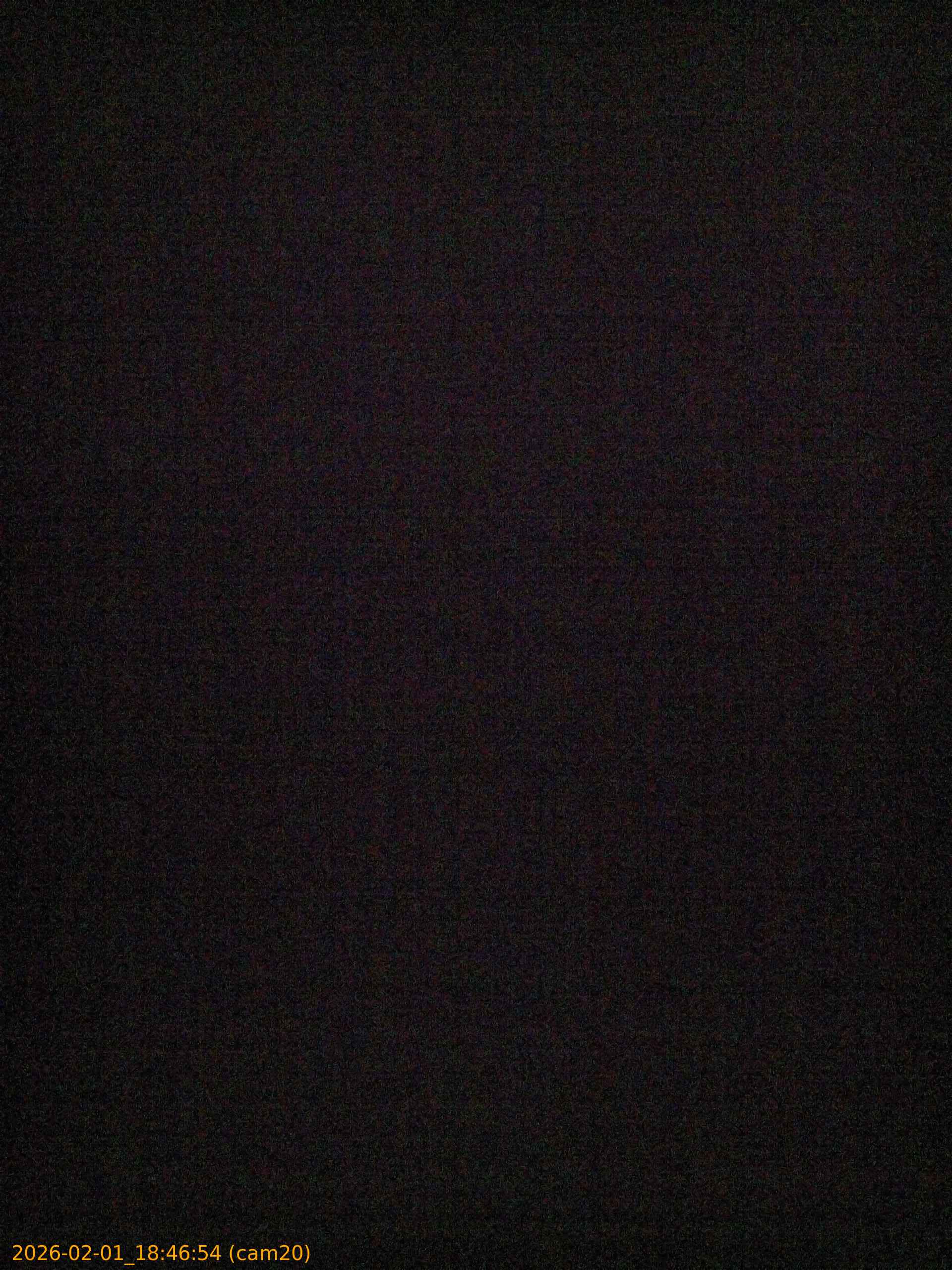 thumbnail_20260201184654