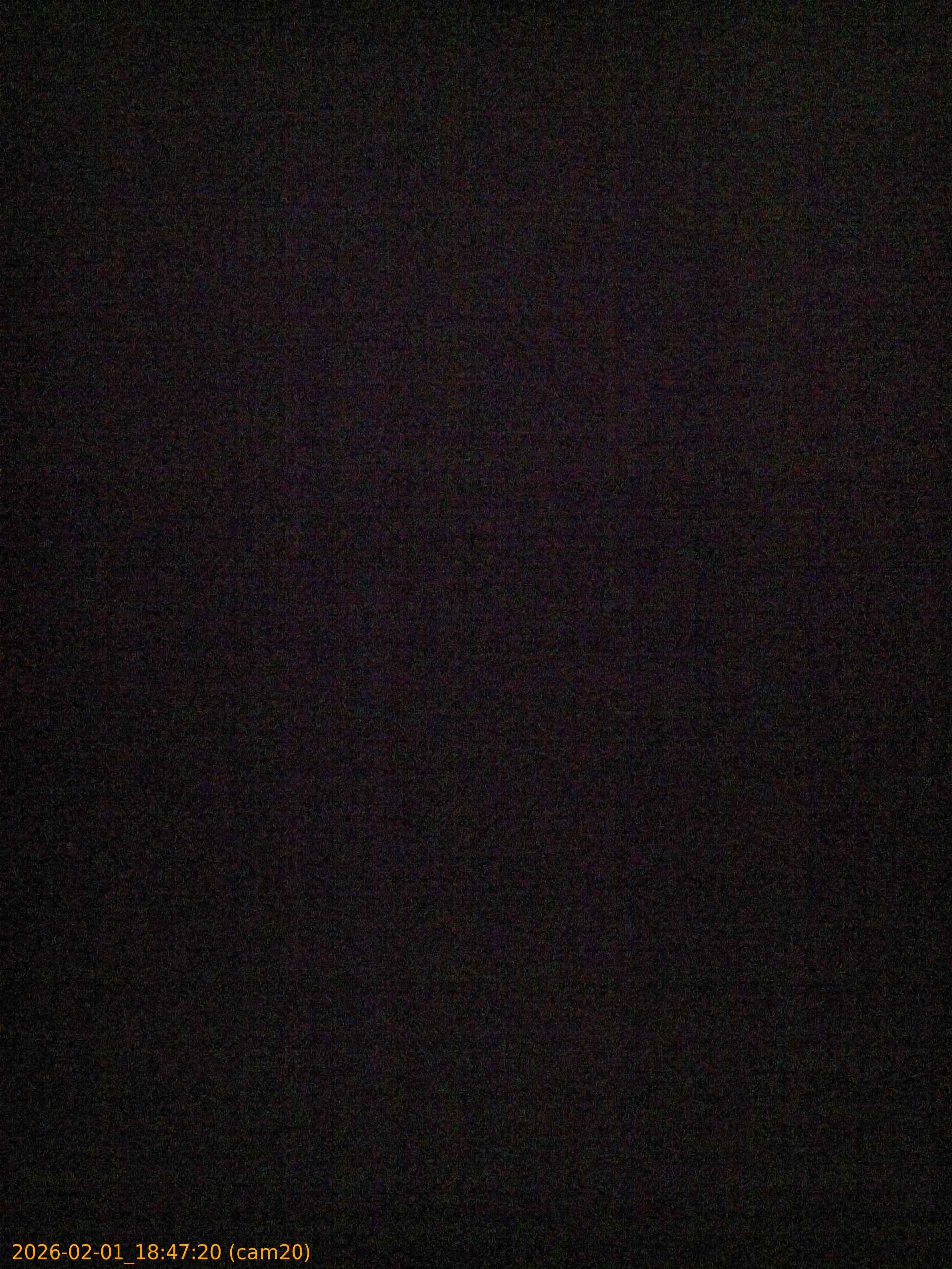 thumbnail_20260201184720