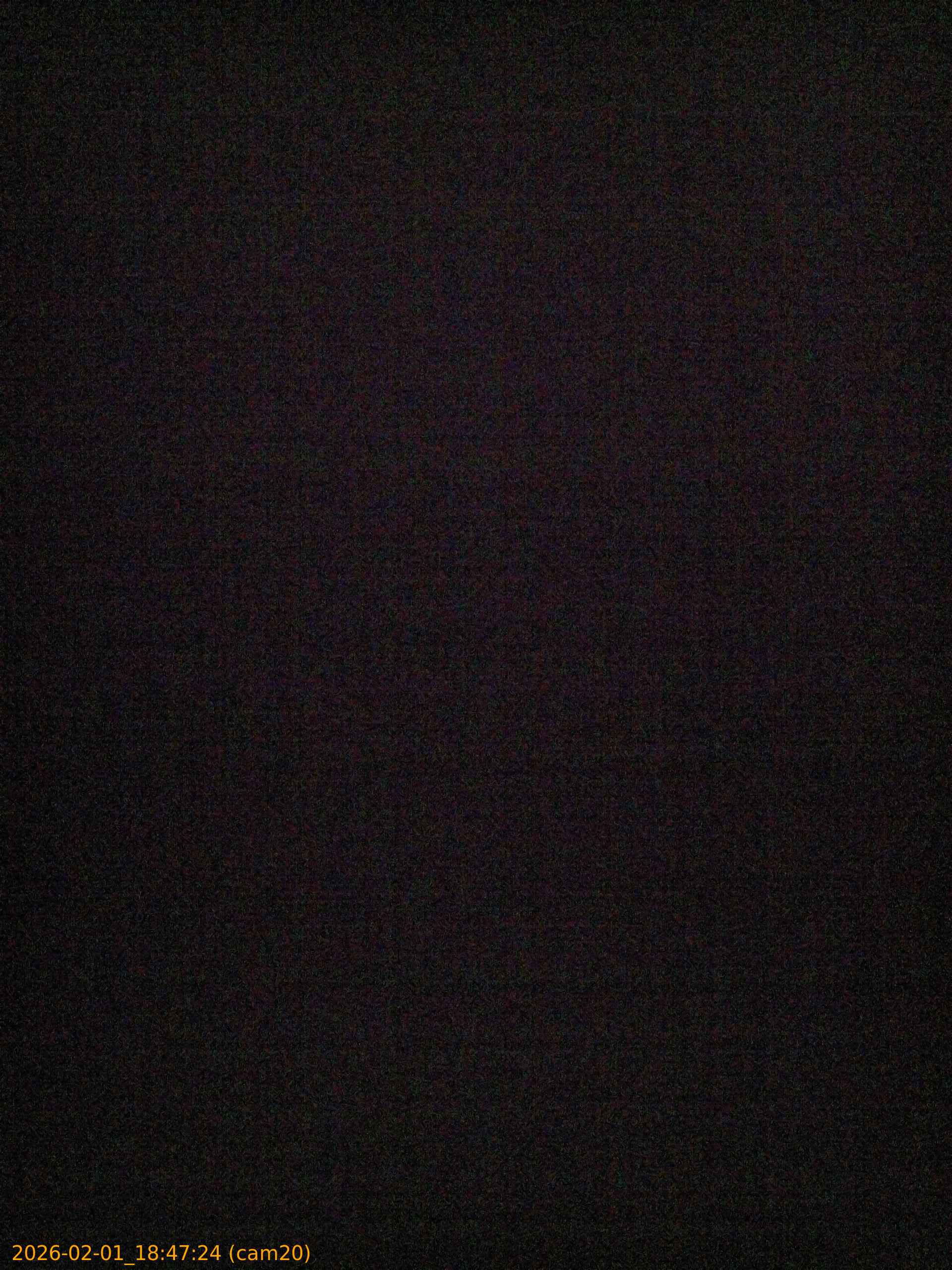 thumbnail_20260201184724