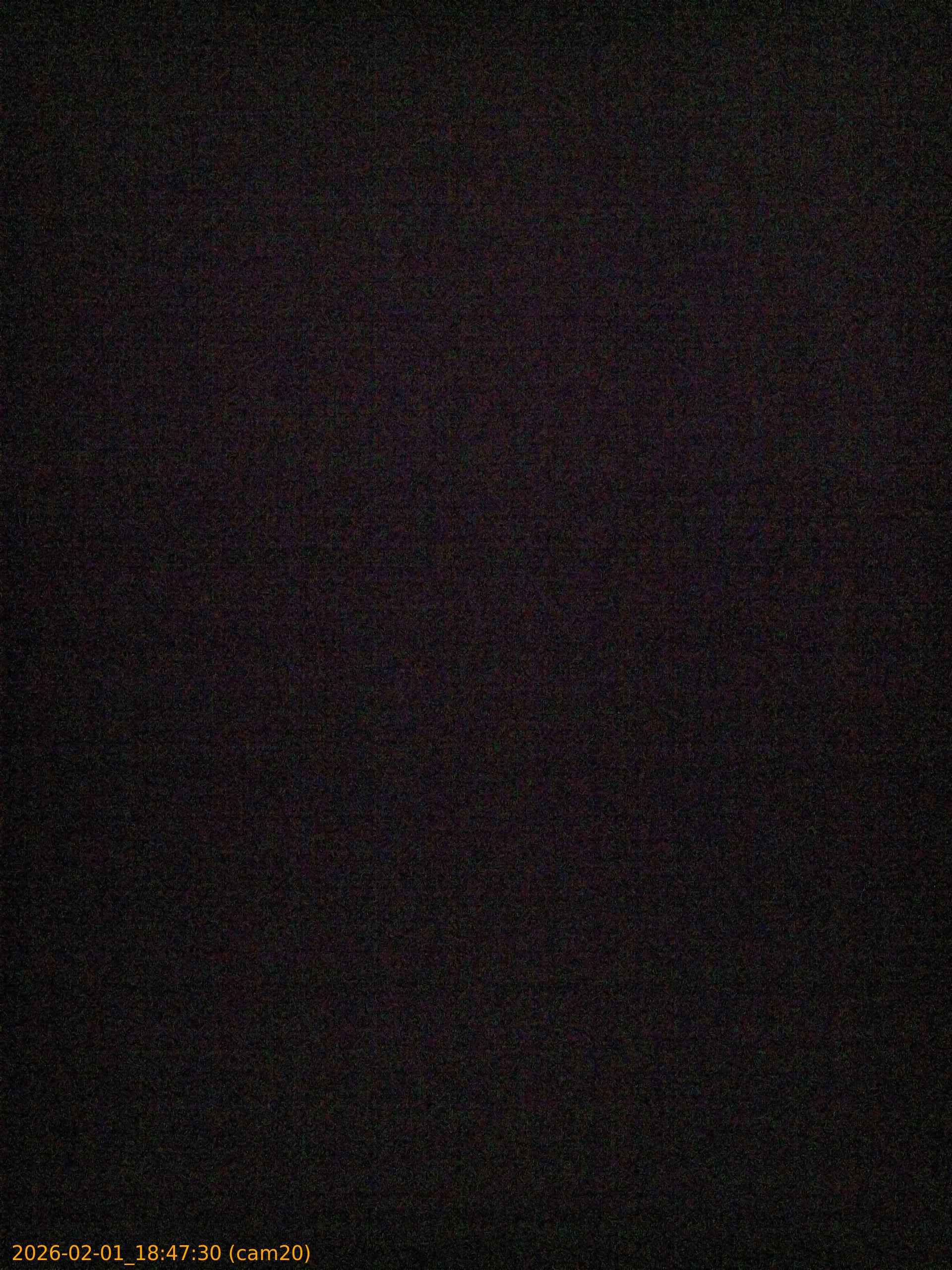 thumbnail_20260201184730