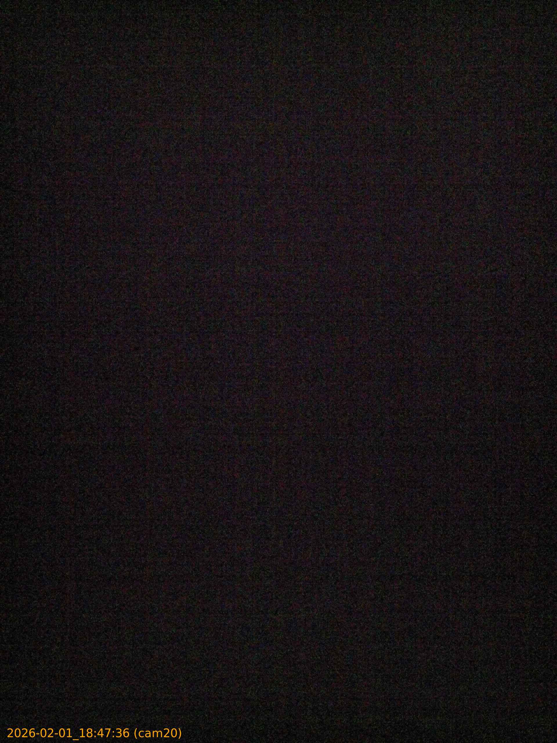 thumbnail_20260201184736