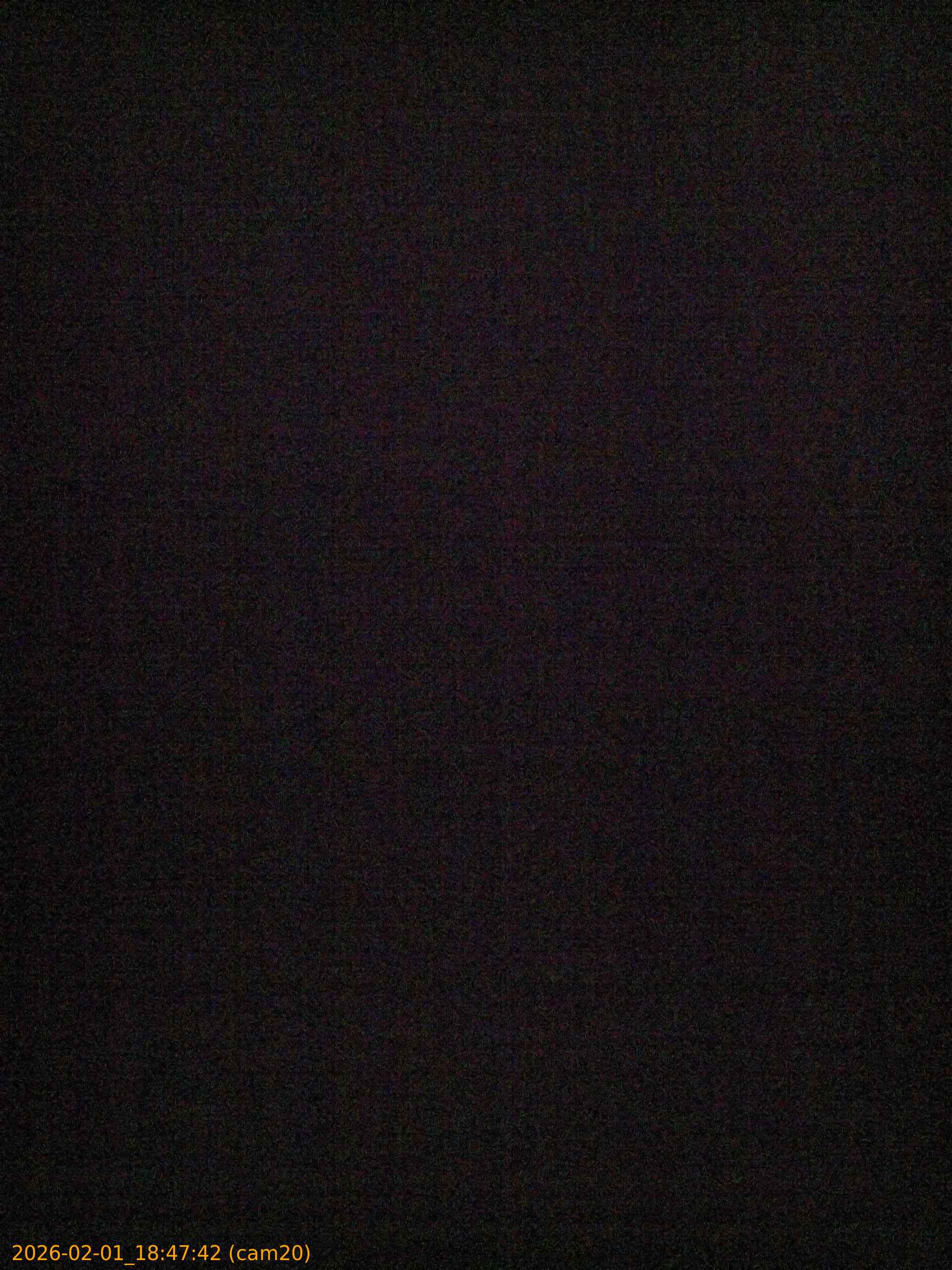 thumbnail_20260201184742