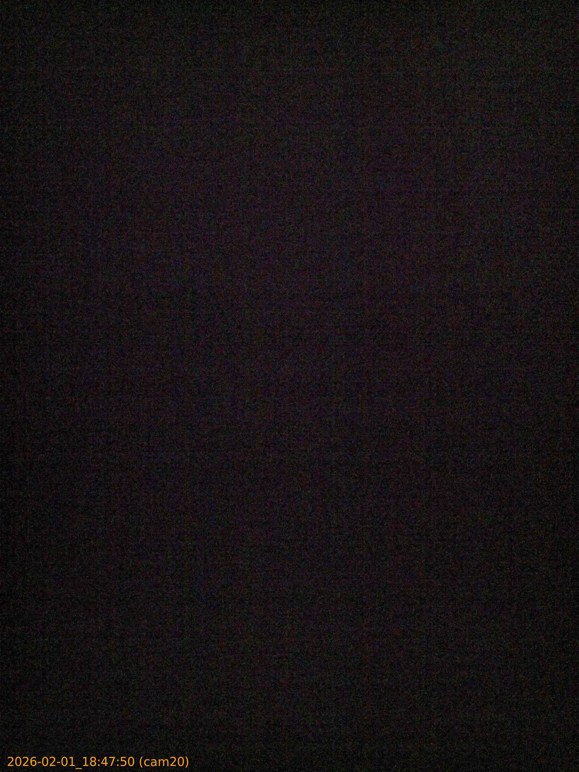 thumbnail_20260201184750