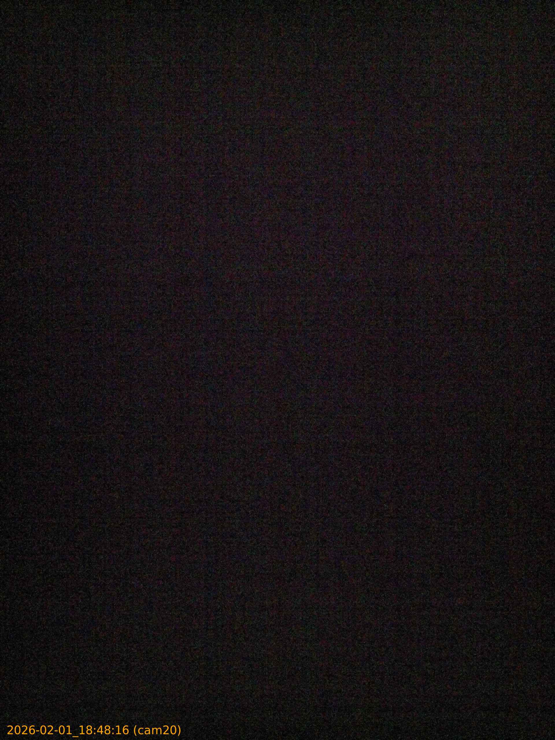 thumbnail_20260201184816