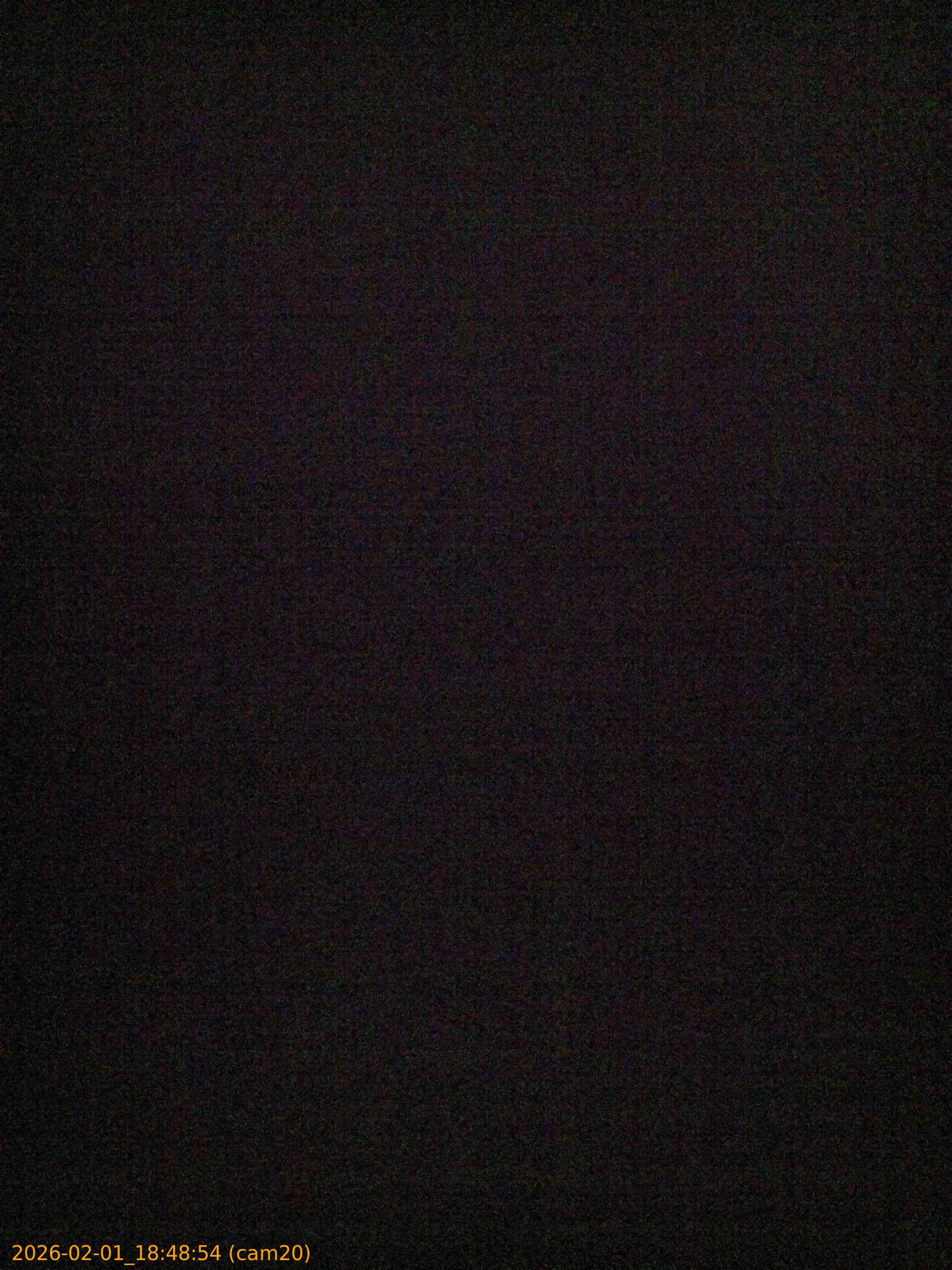 thumbnail_20260201184854