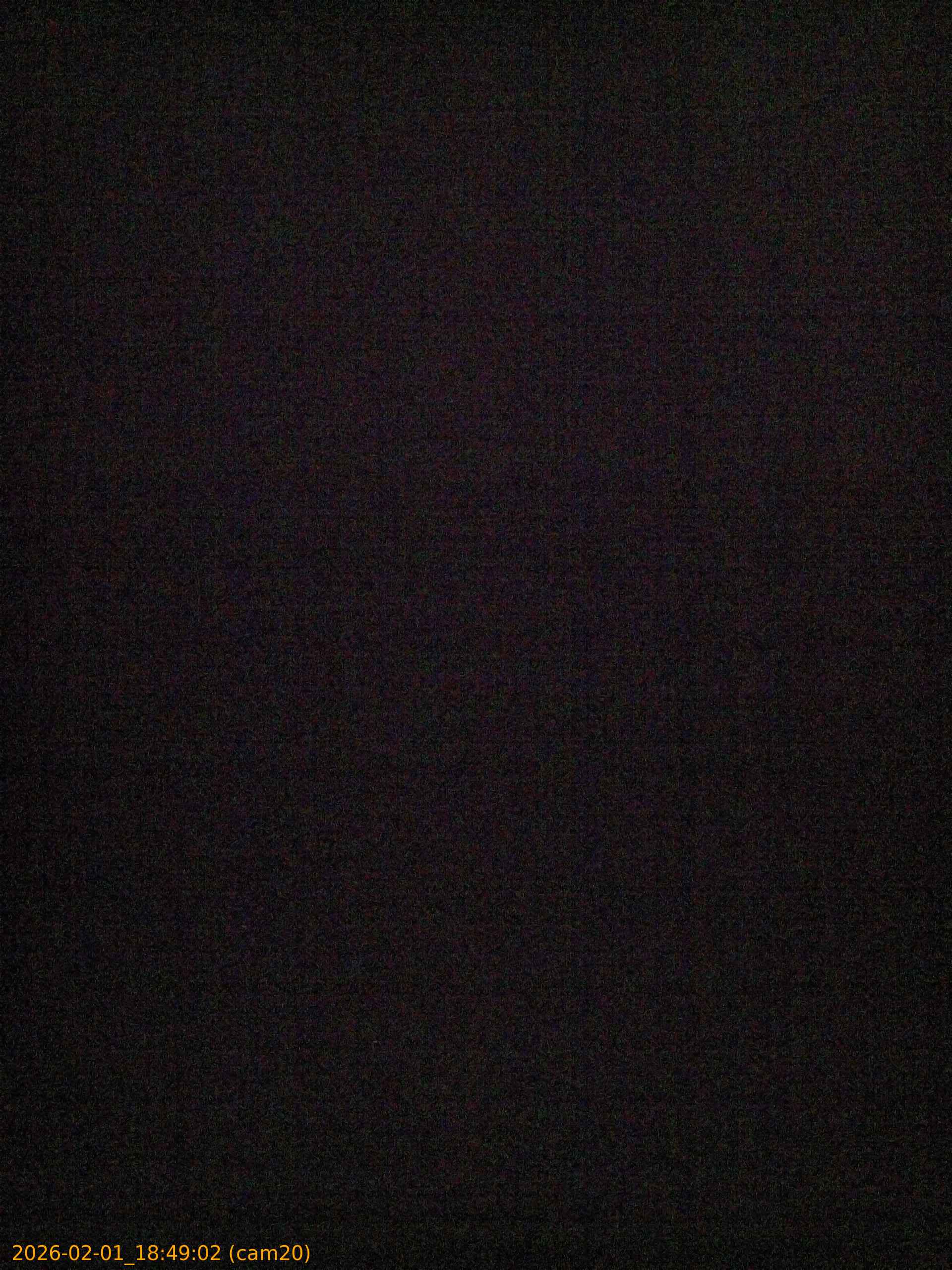 thumbnail_20260201184902