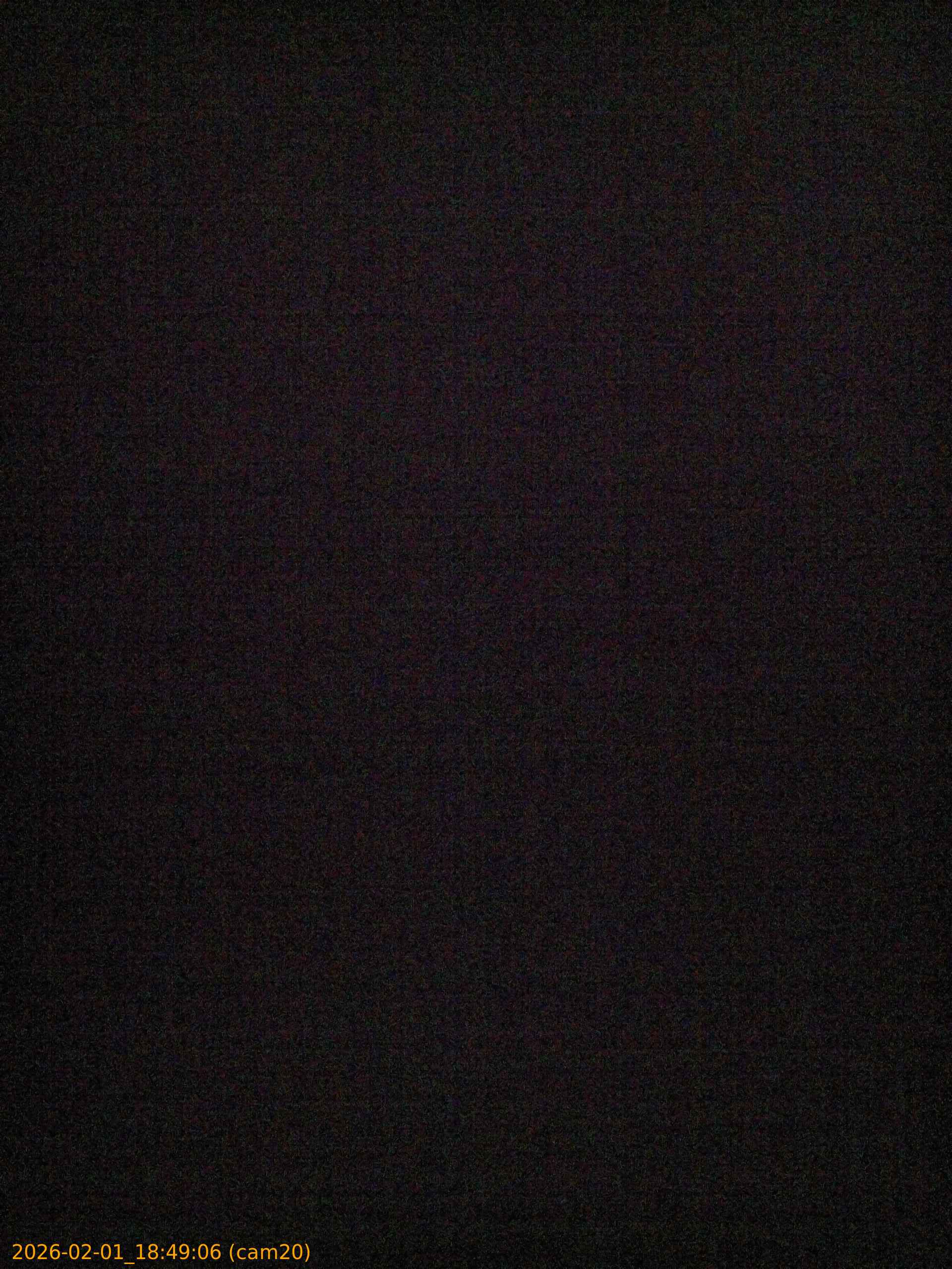 thumbnail_20260201184906