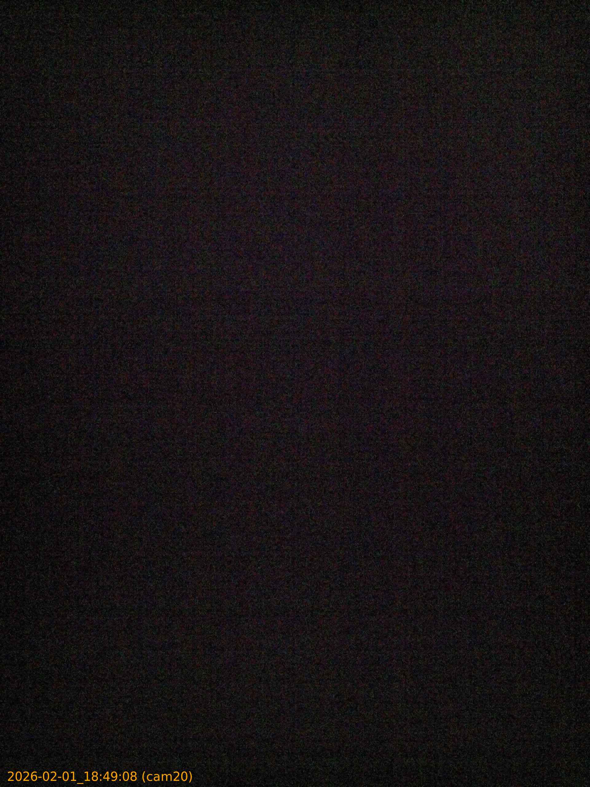 thumbnail_20260201184908