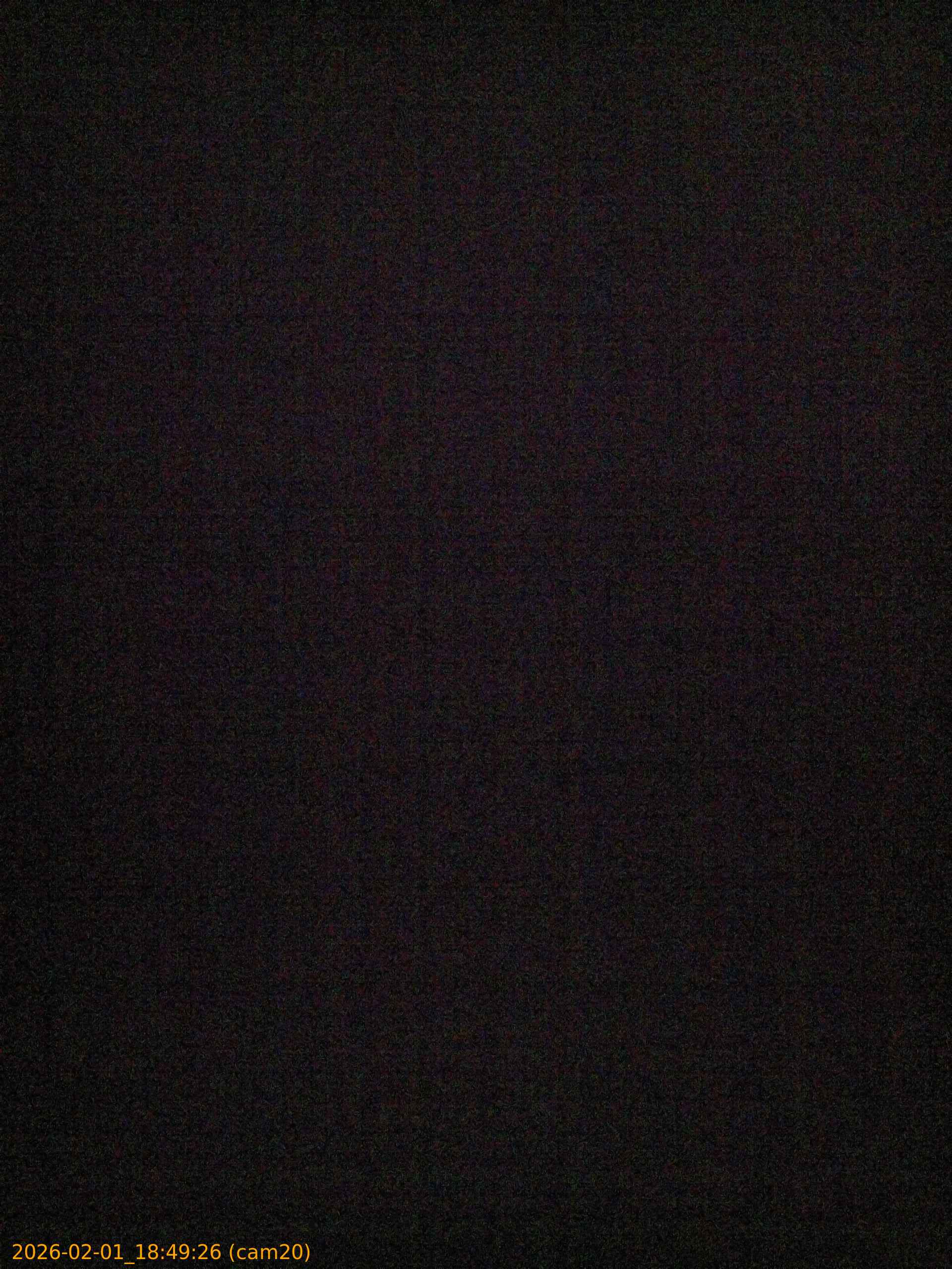 thumbnail_20260201184926