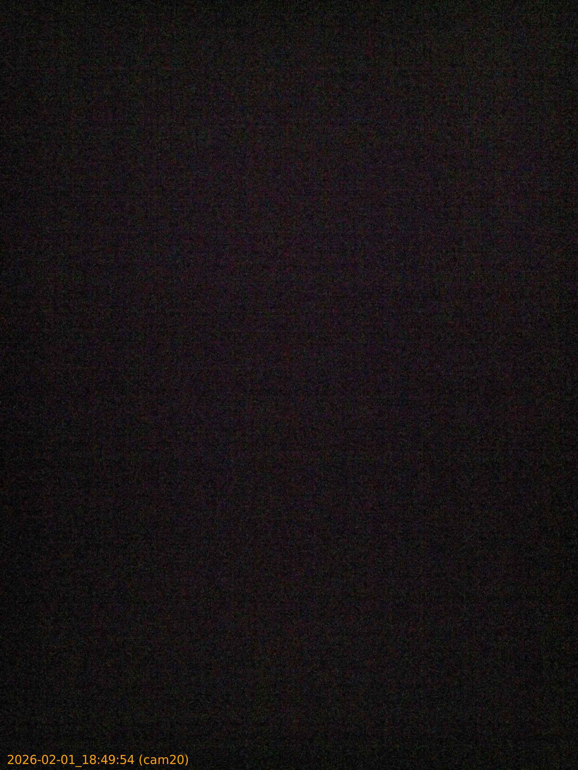 thumbnail_20260201184954