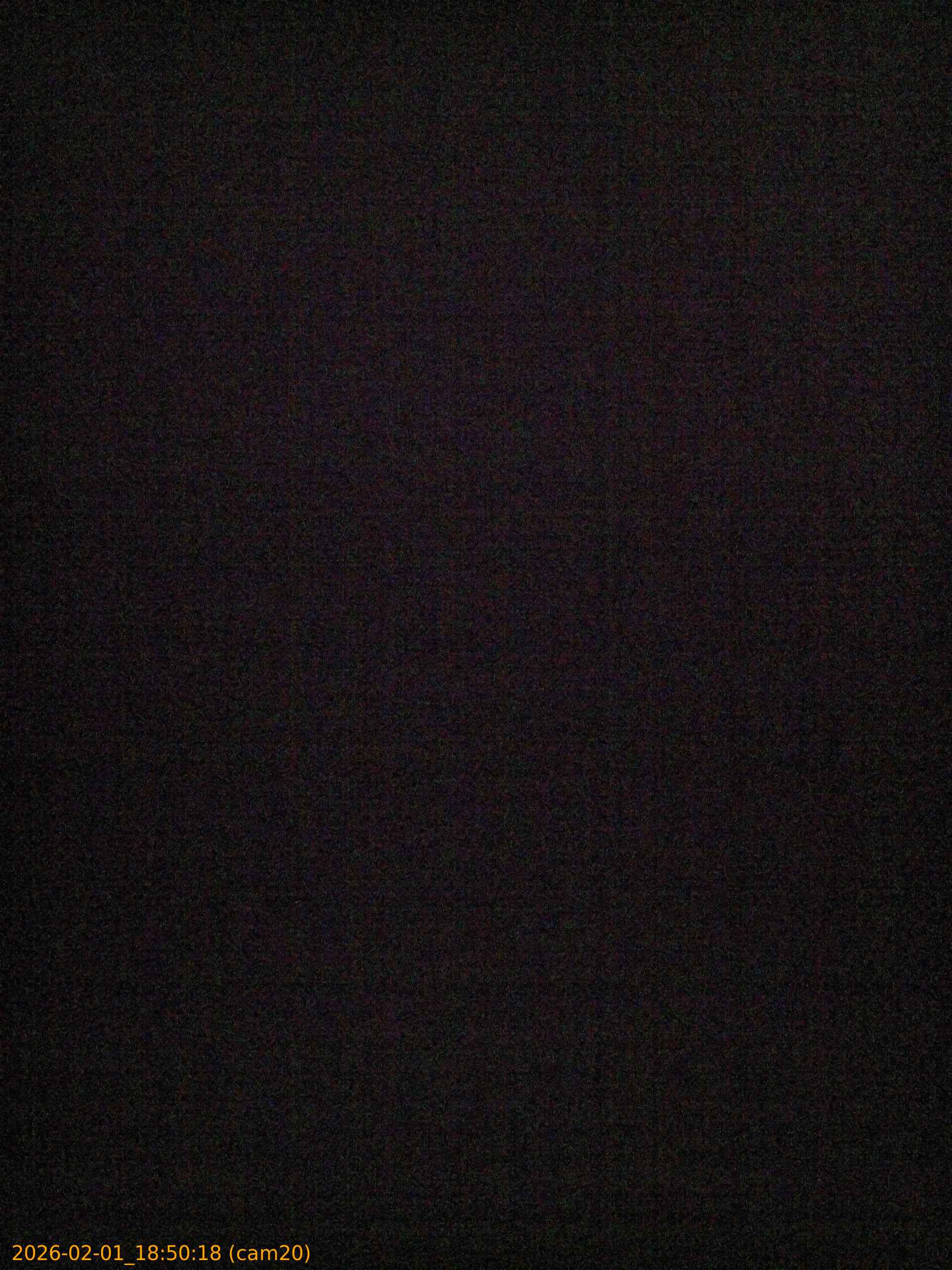 thumbnail_20260201185018