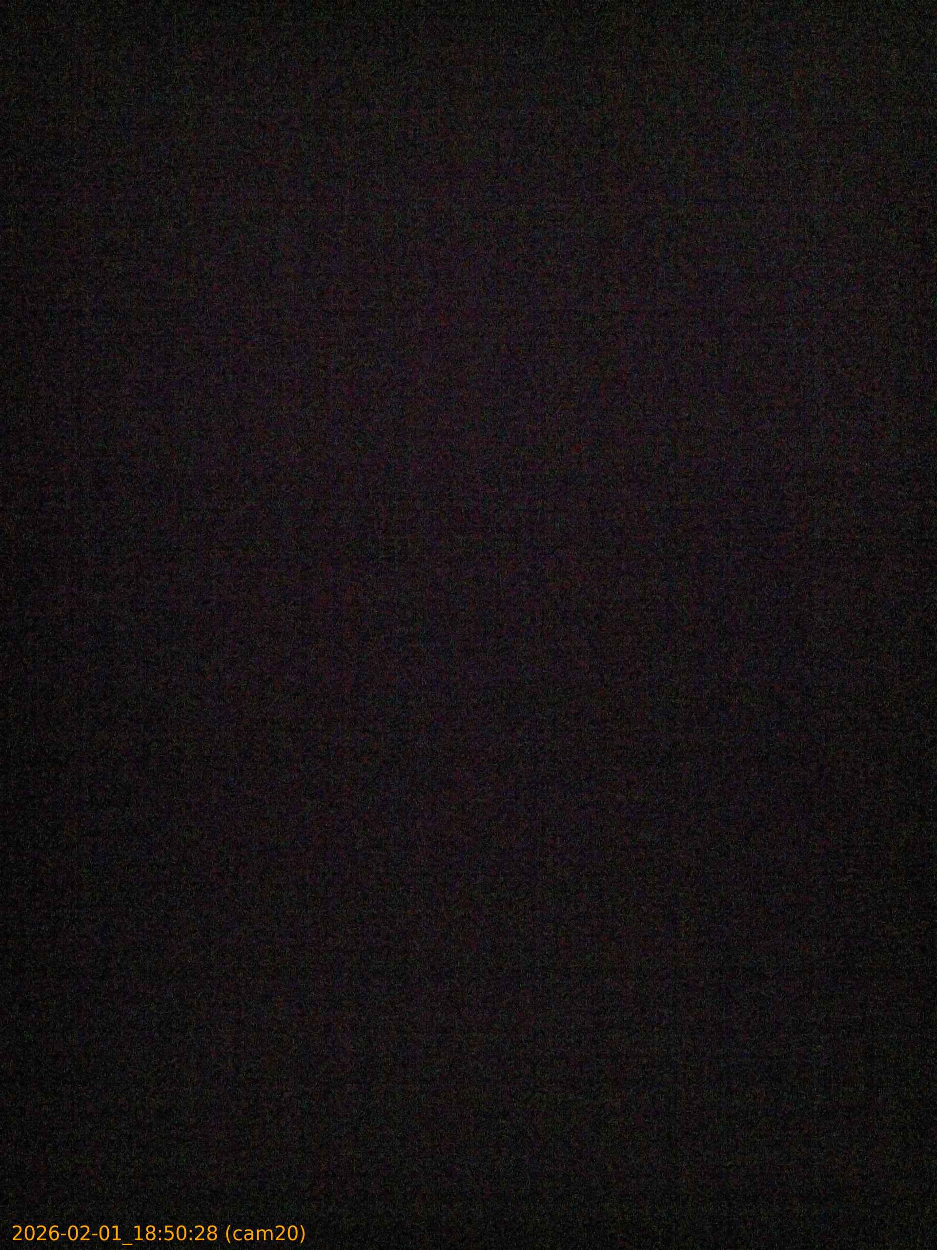 thumbnail_20260201185028