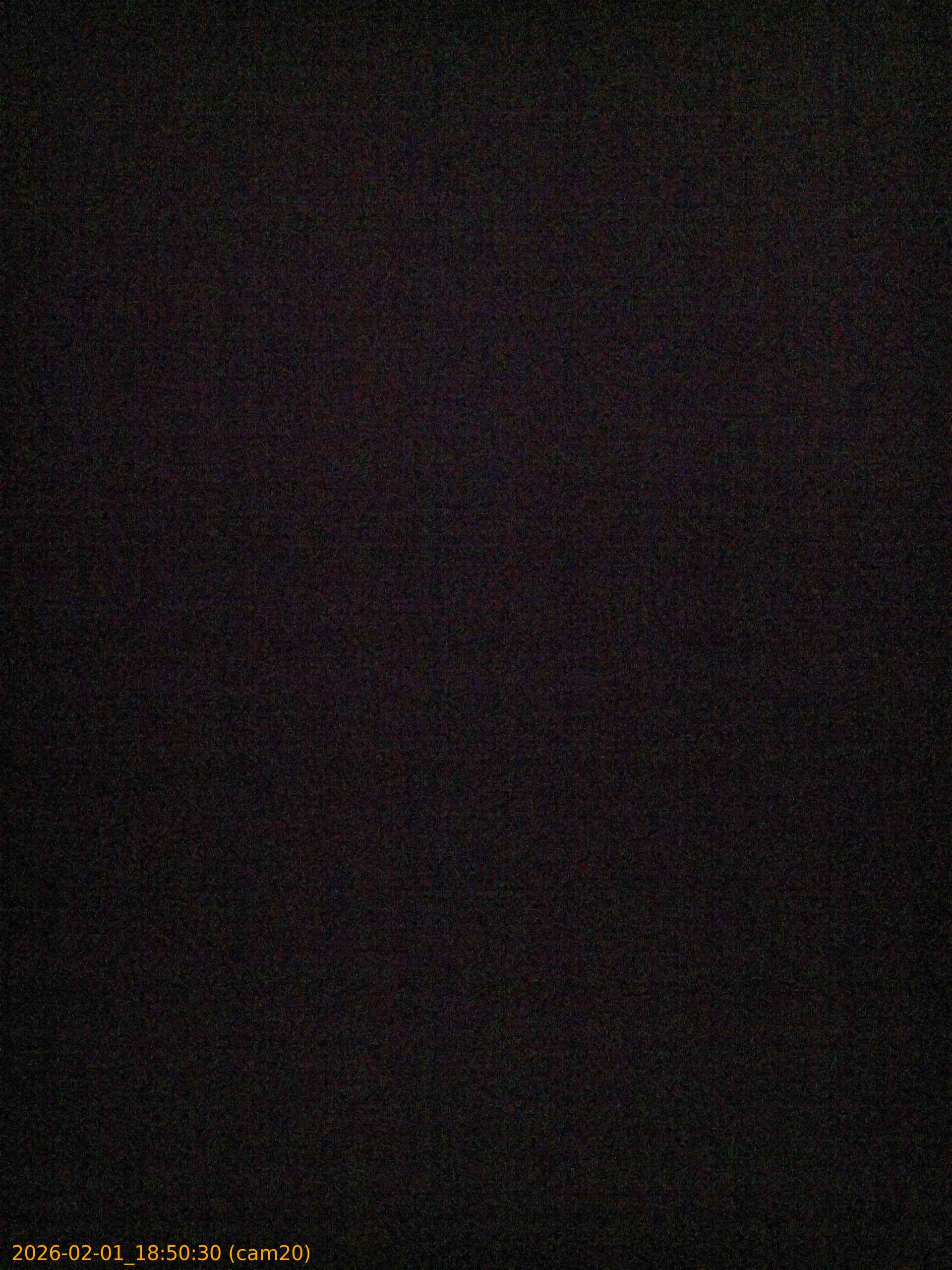 thumbnail_20260201185030