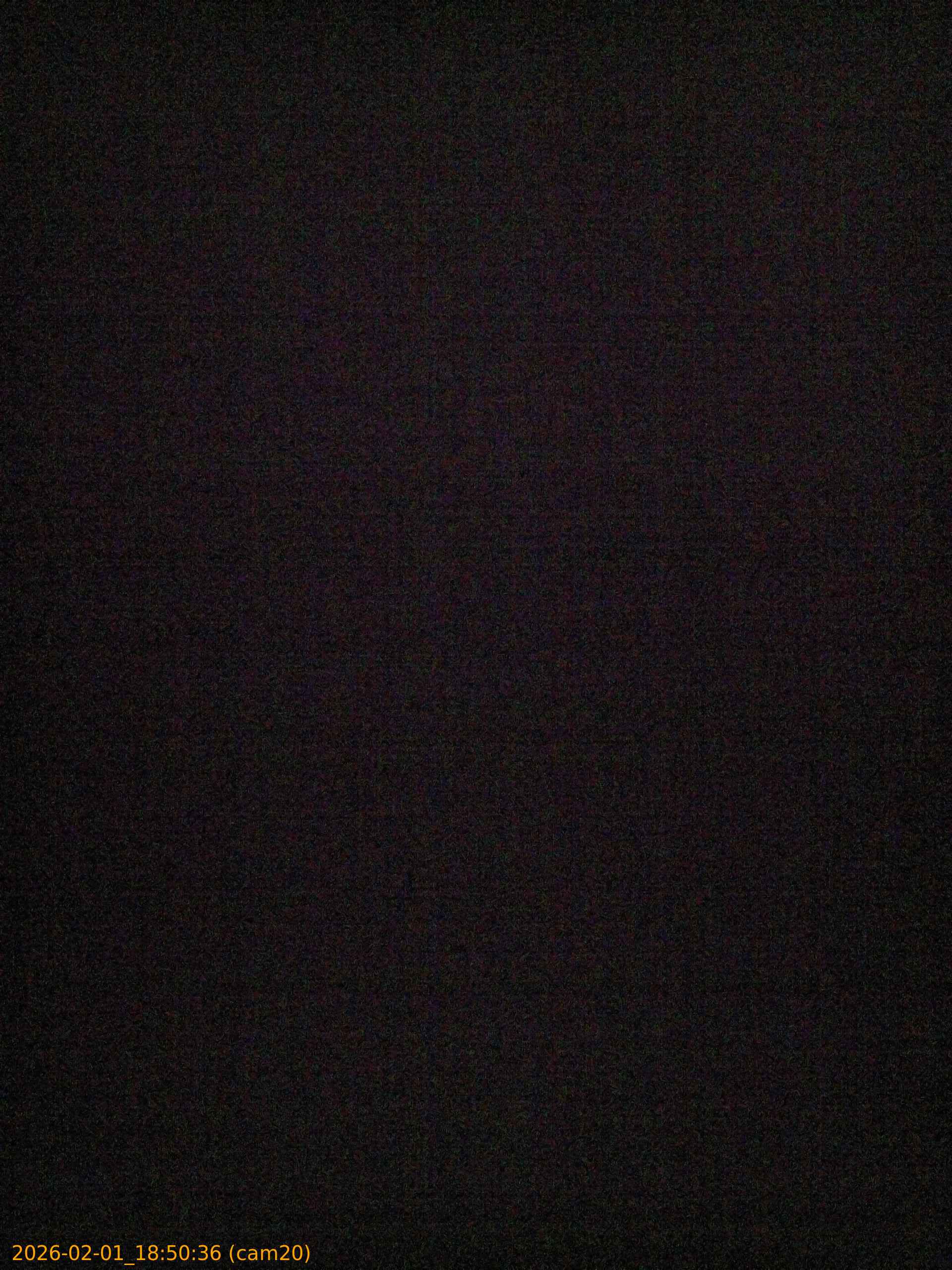 thumbnail_20260201185036