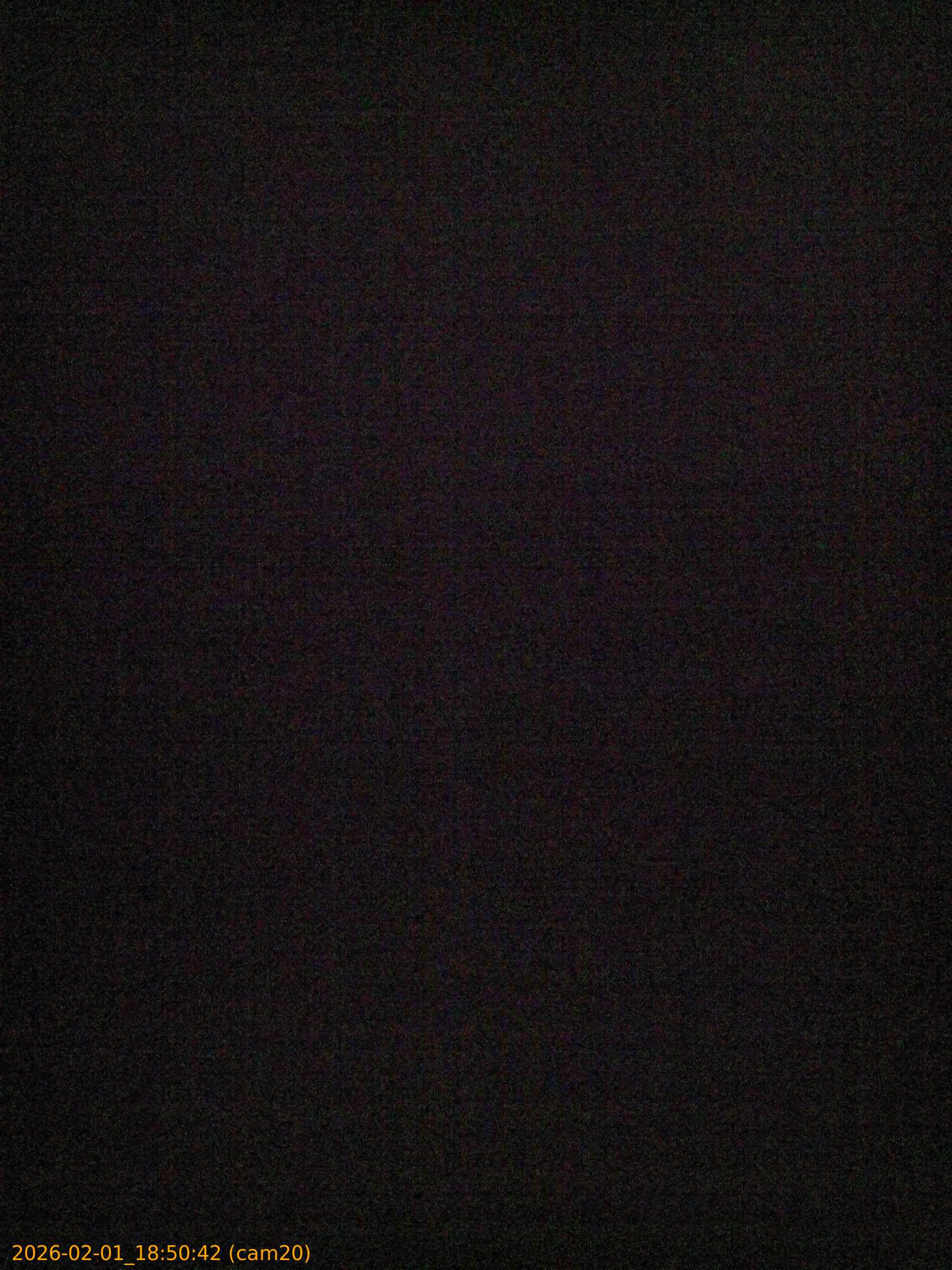 thumbnail_20260201185042