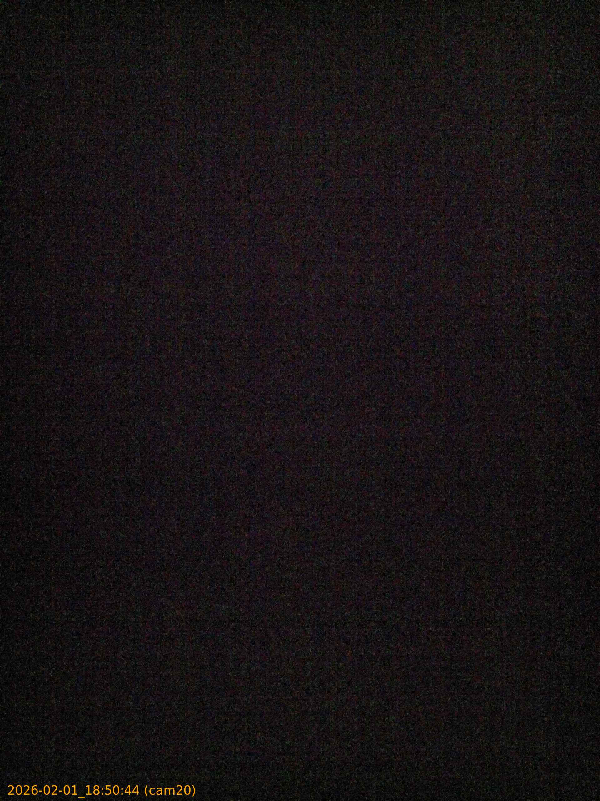 thumbnail_20260201185044