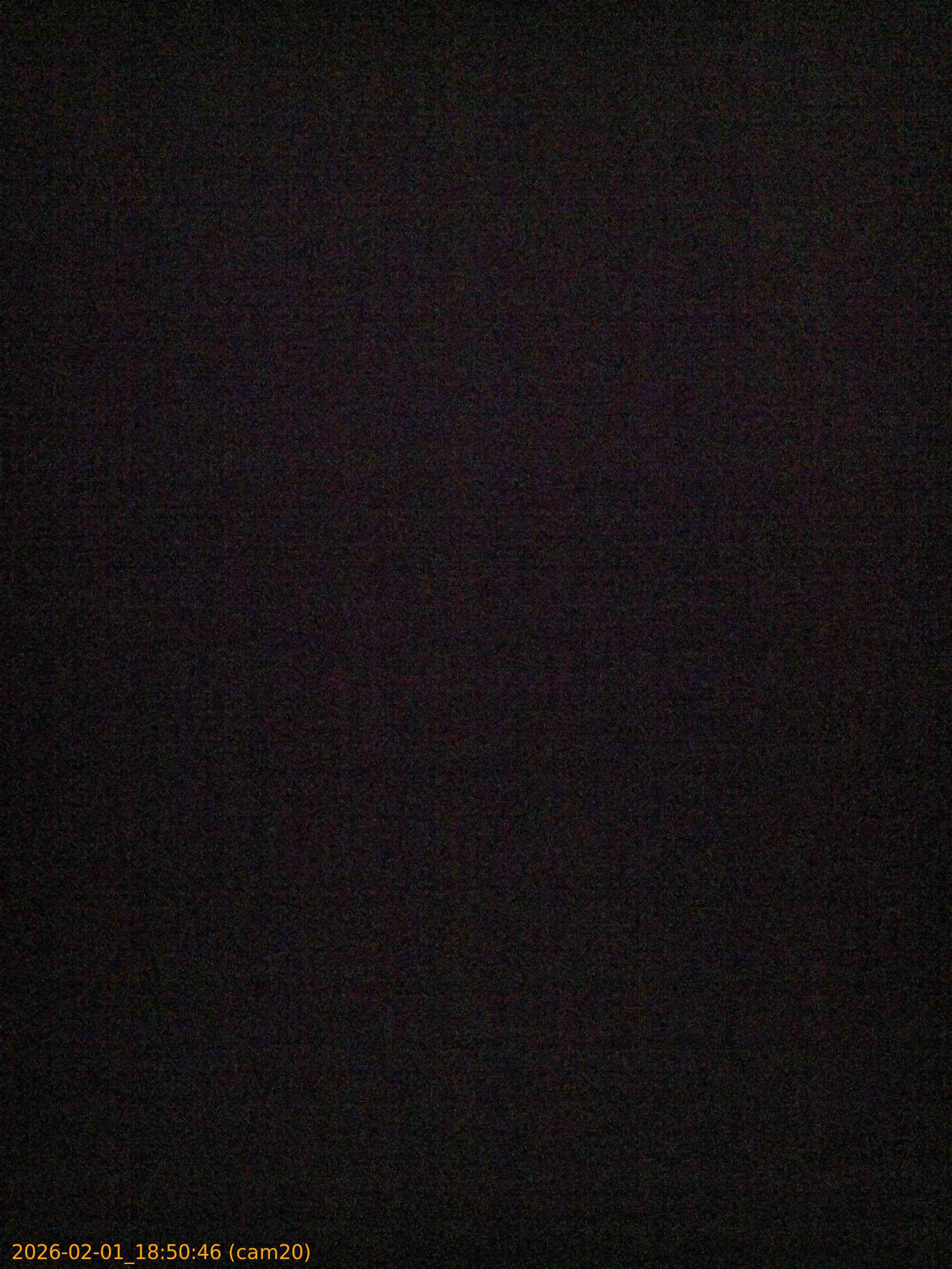 thumbnail_20260201185046