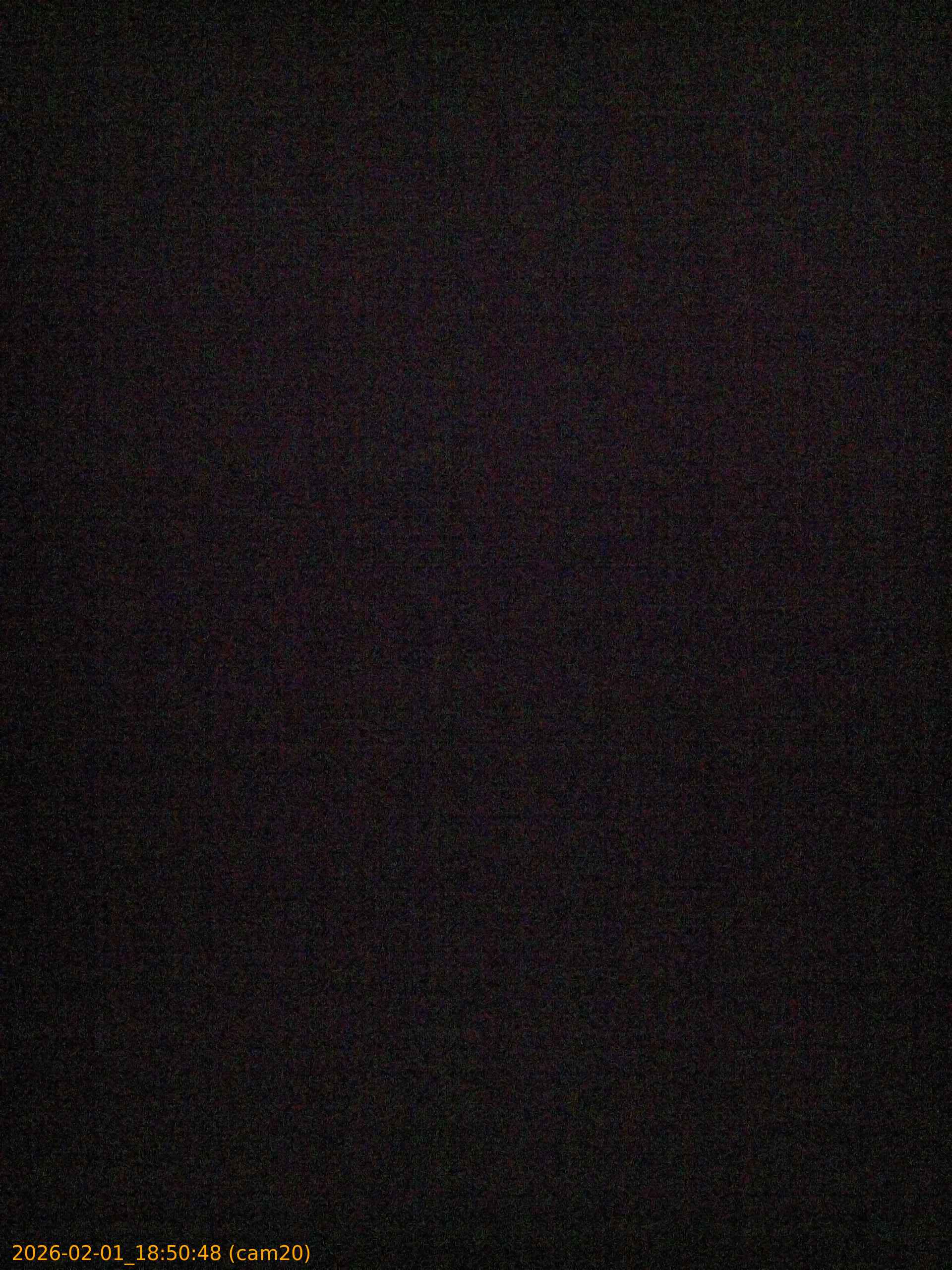 thumbnail_20260201185048