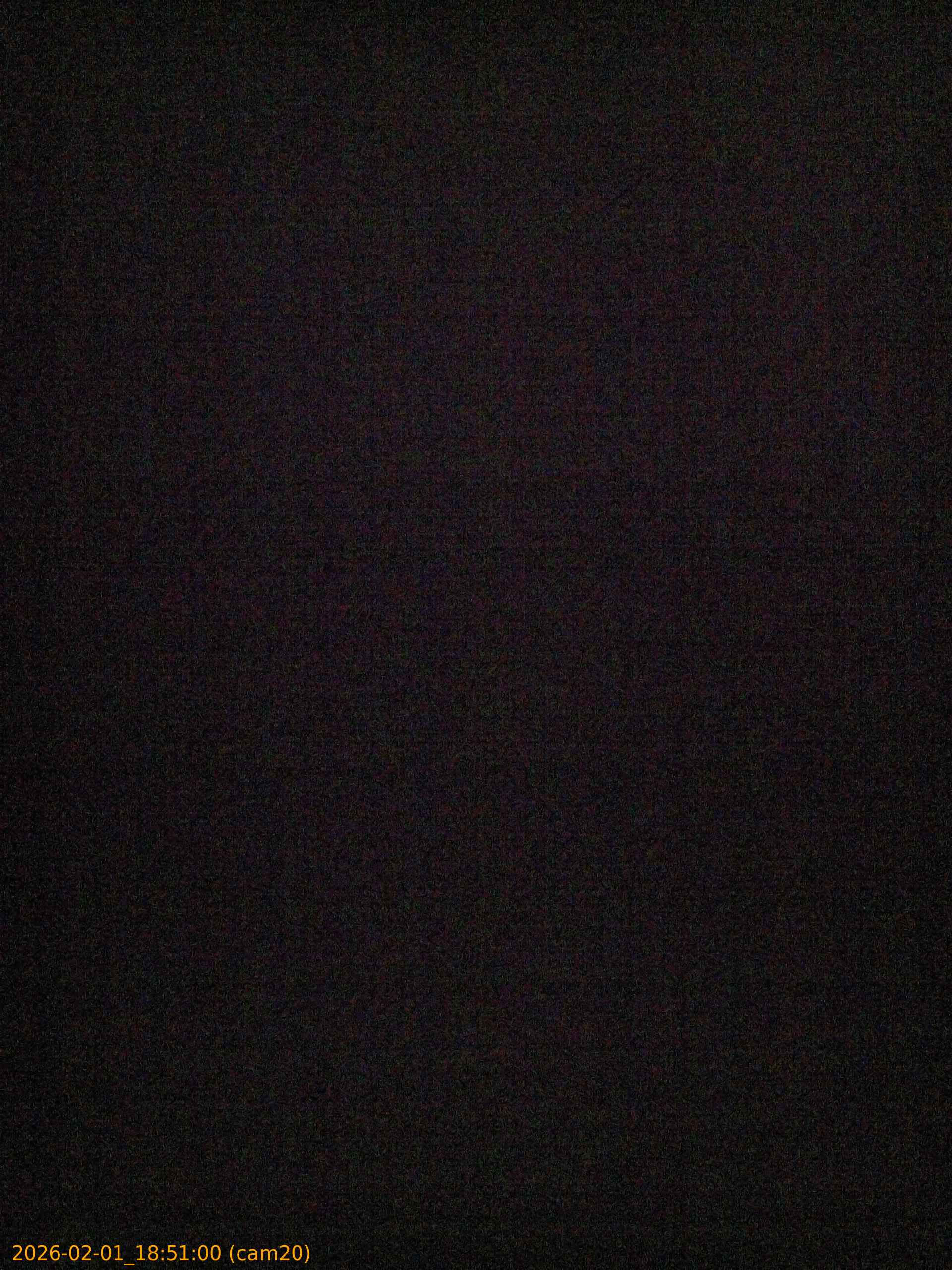 thumbnail_20260201185100