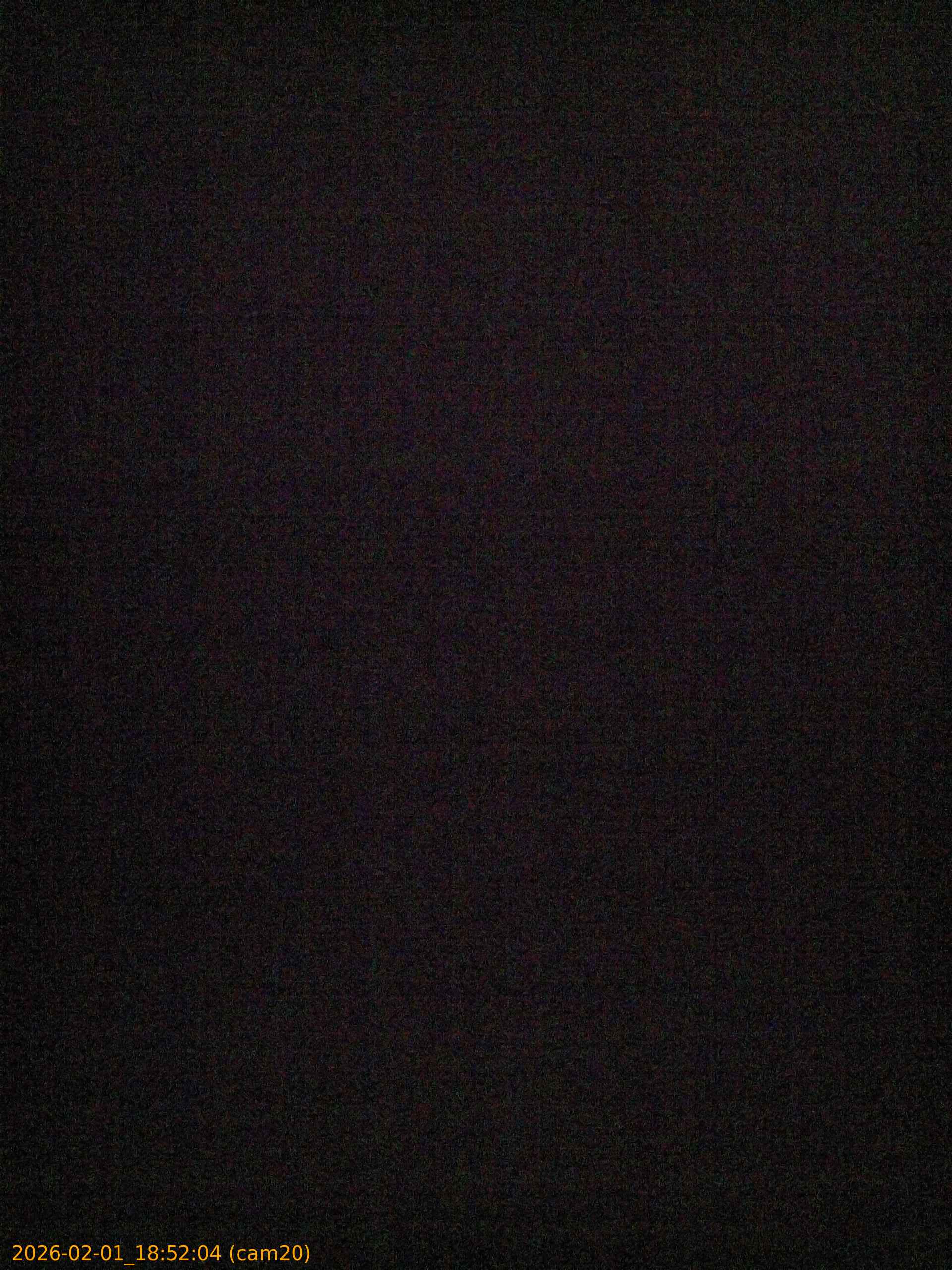 thumbnail_20260201185204