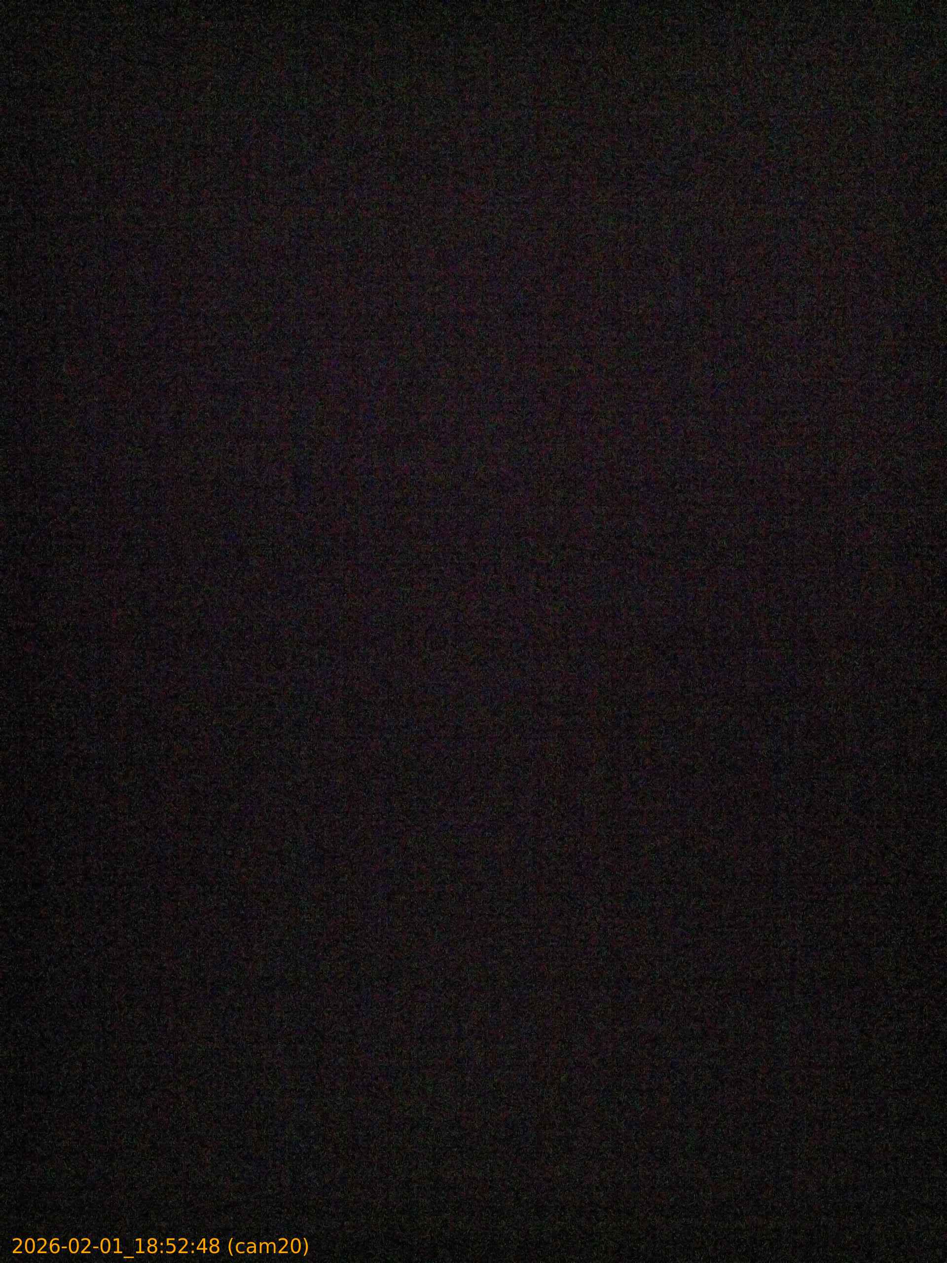 thumbnail_20260201185248