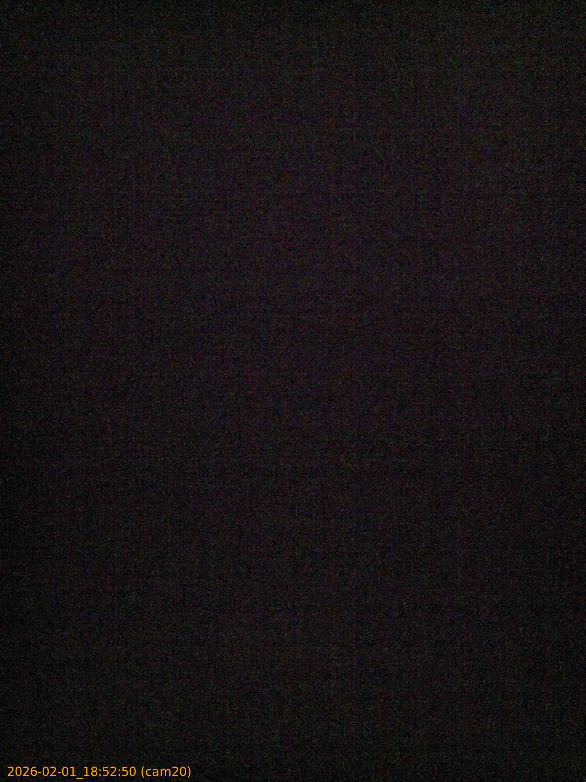 thumbnail_20260201185250