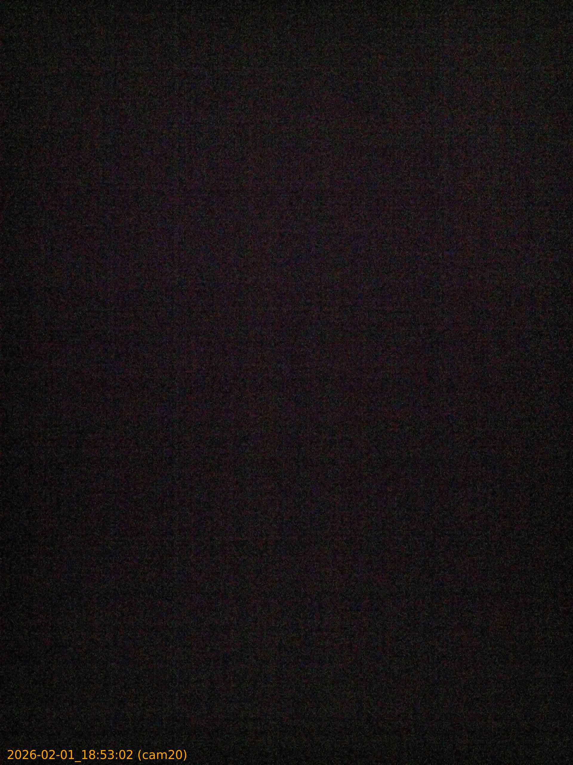 thumbnail_20260201185302