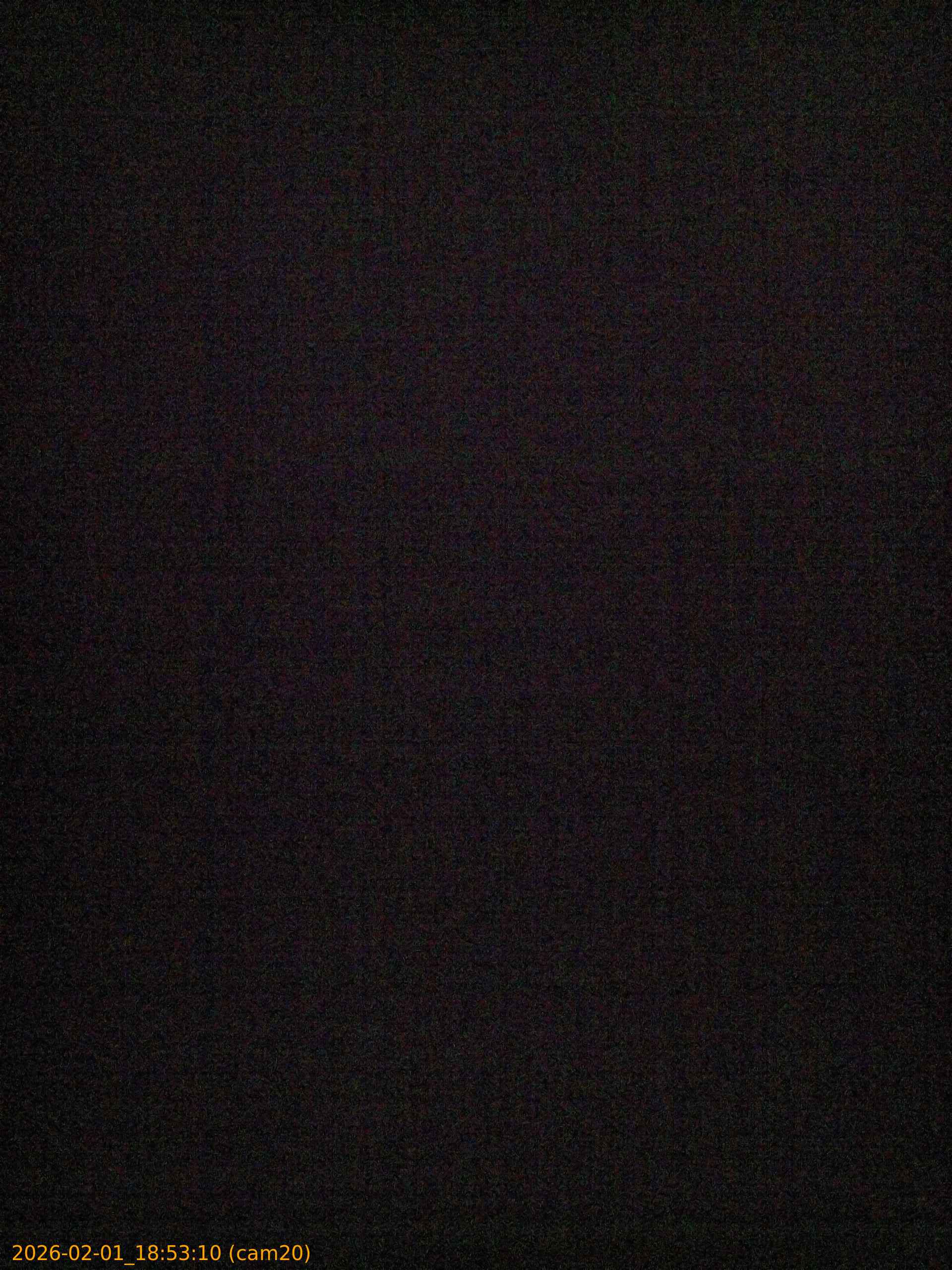 thumbnail_20260201185310