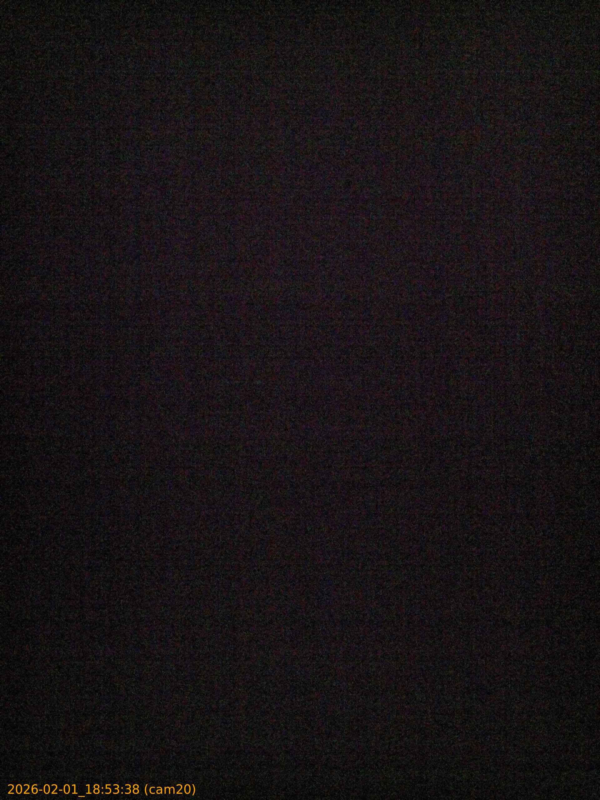 thumbnail_20260201185338