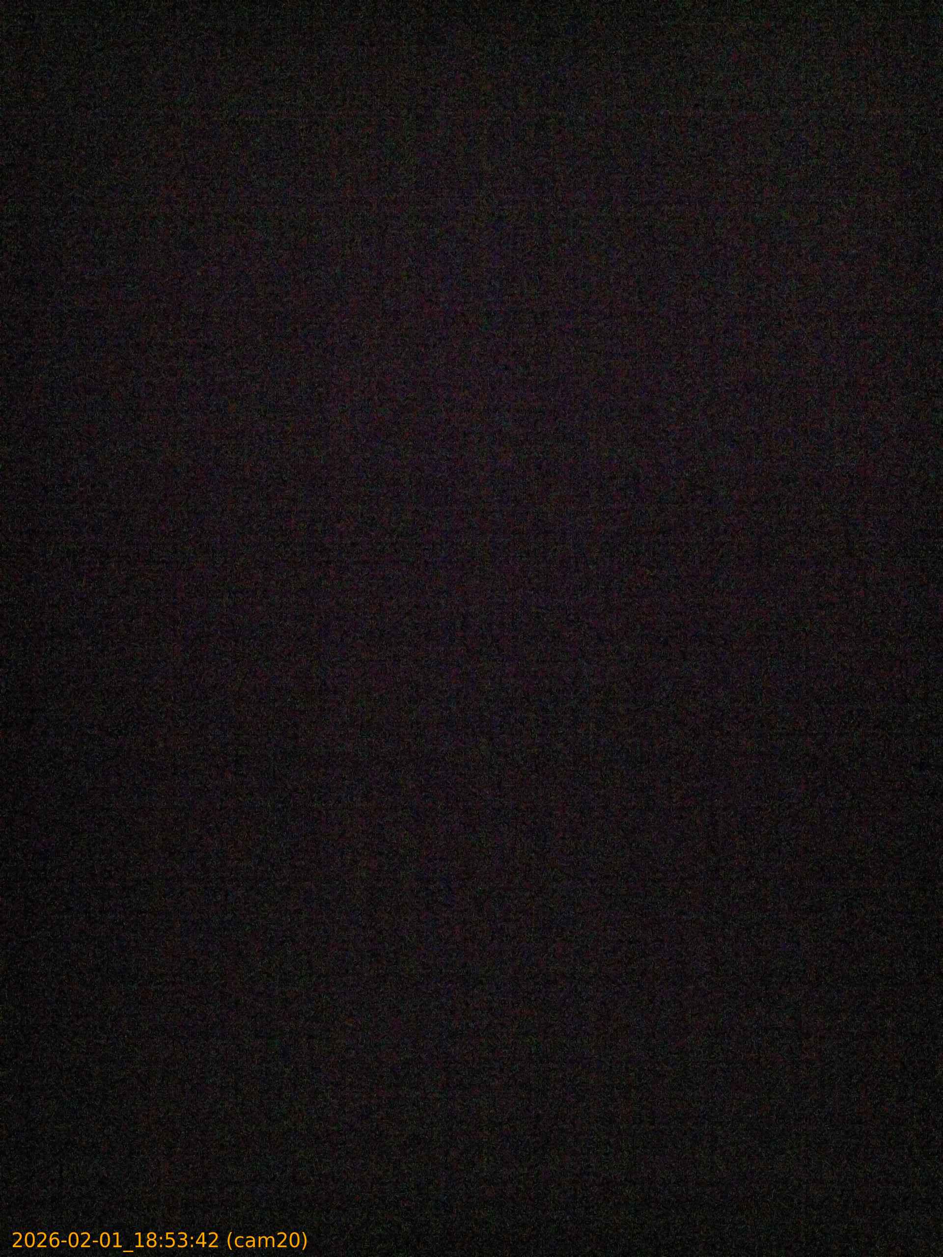 thumbnail_20260201185342