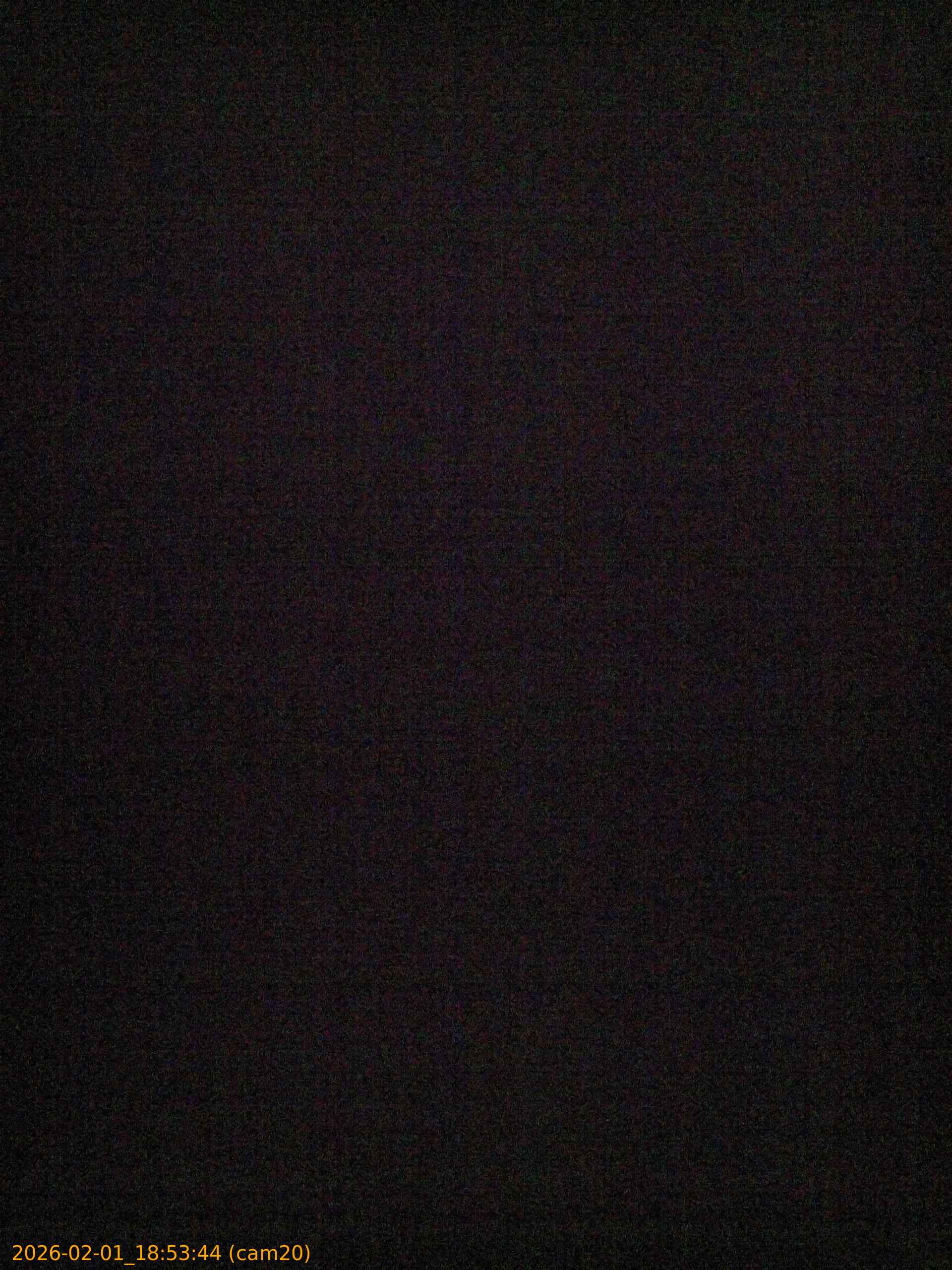 thumbnail_20260201185344