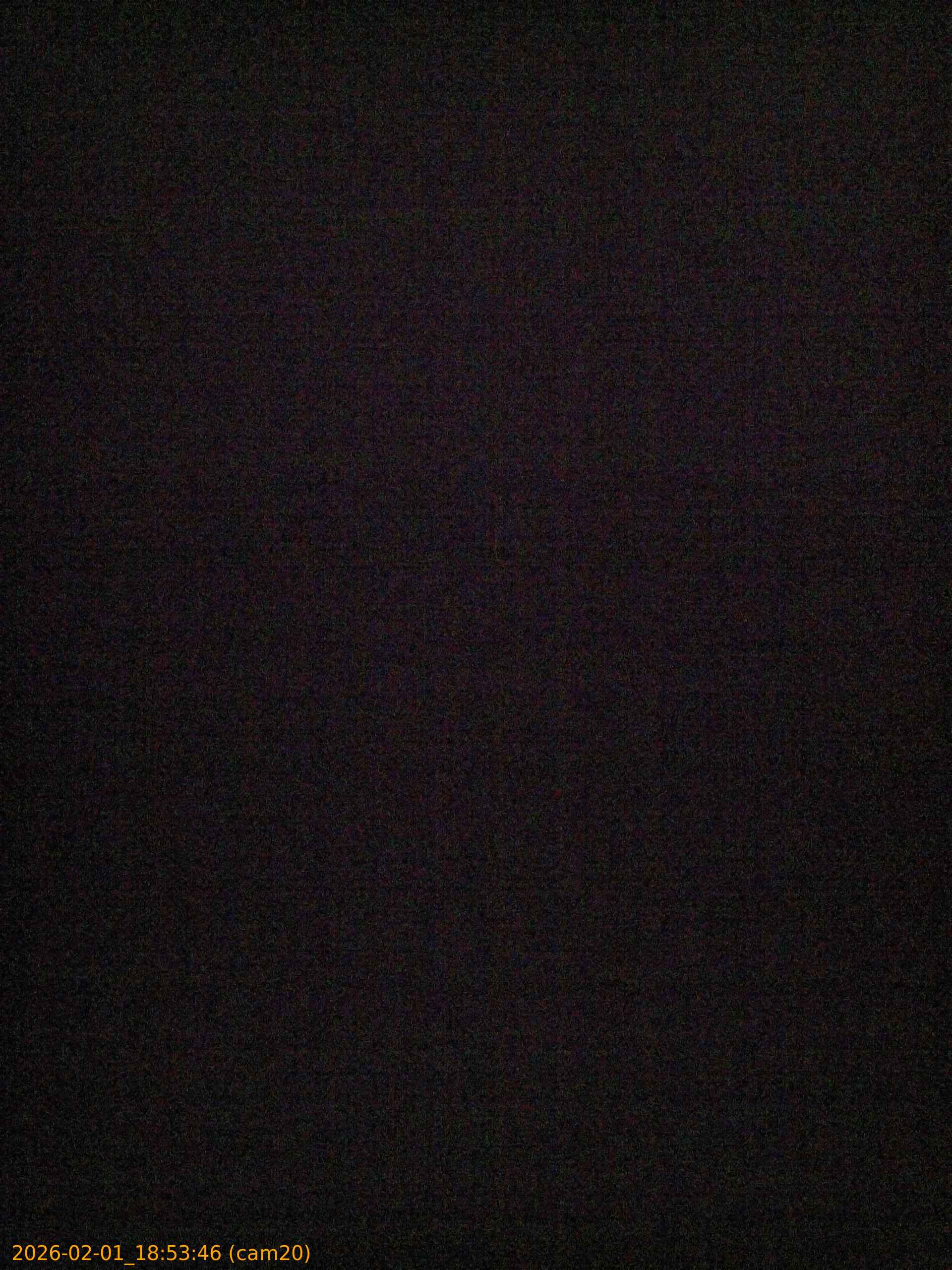 thumbnail_20260201185346