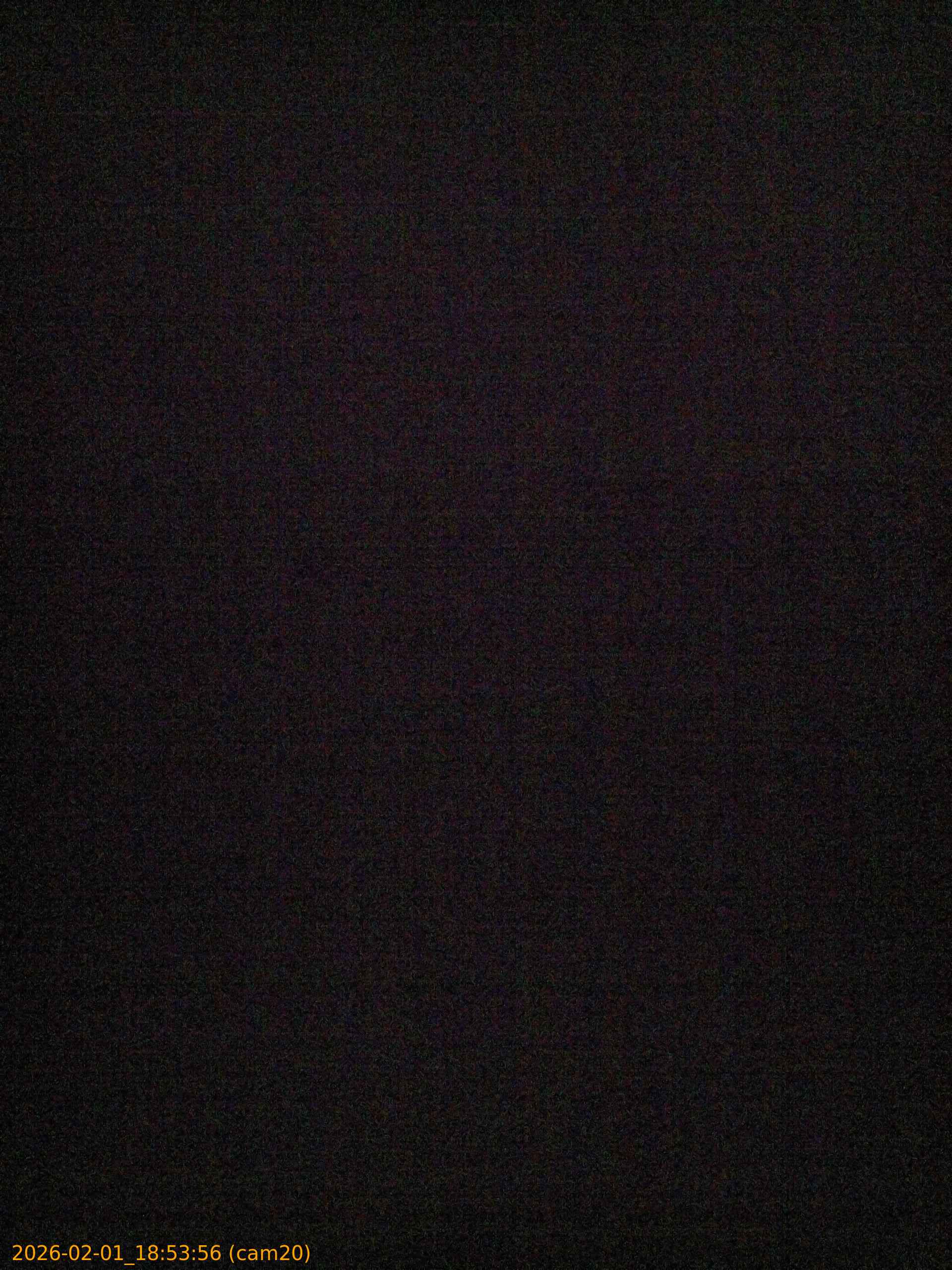 thumbnail_20260201185356