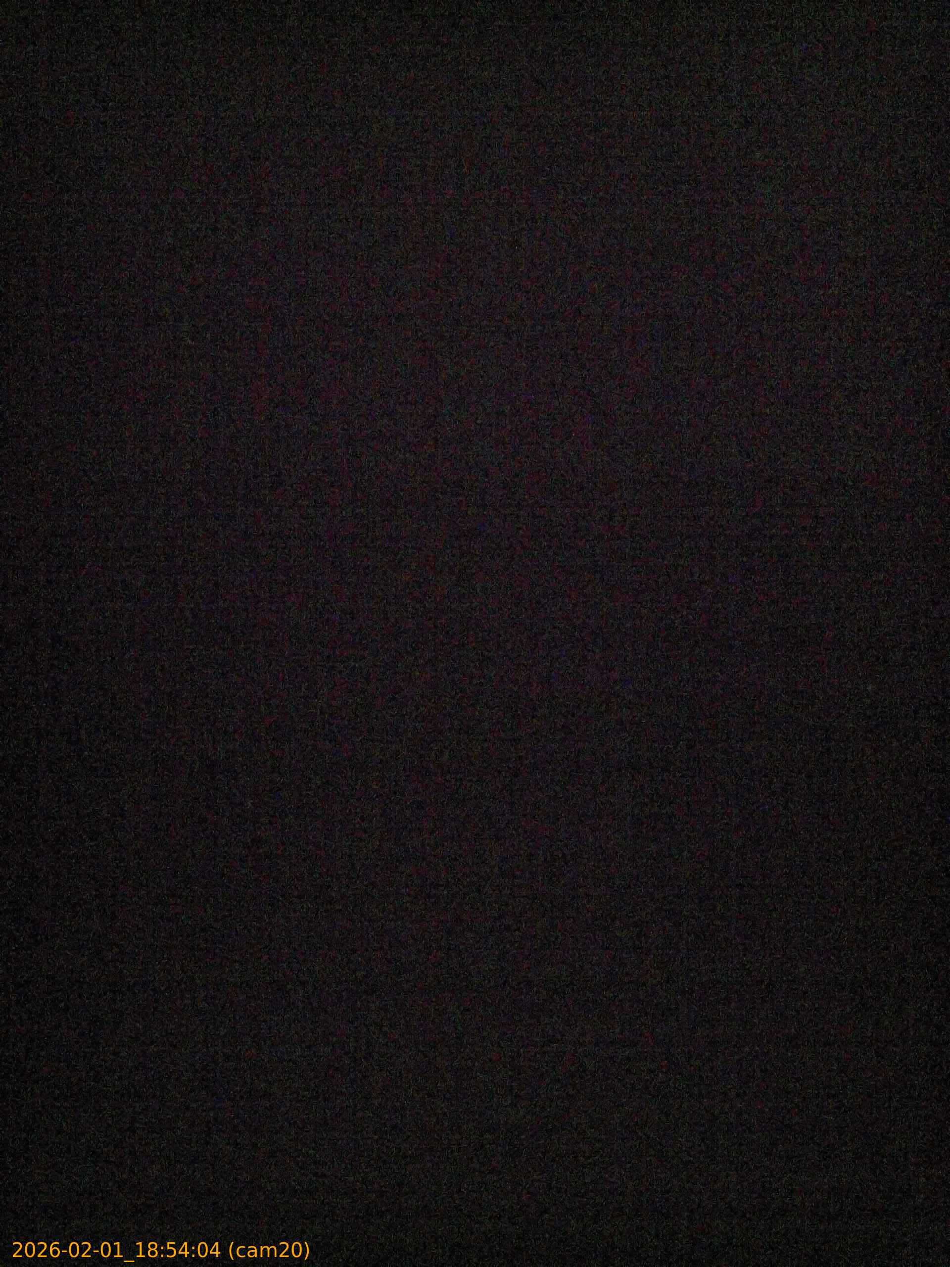 thumbnail_20260201185404