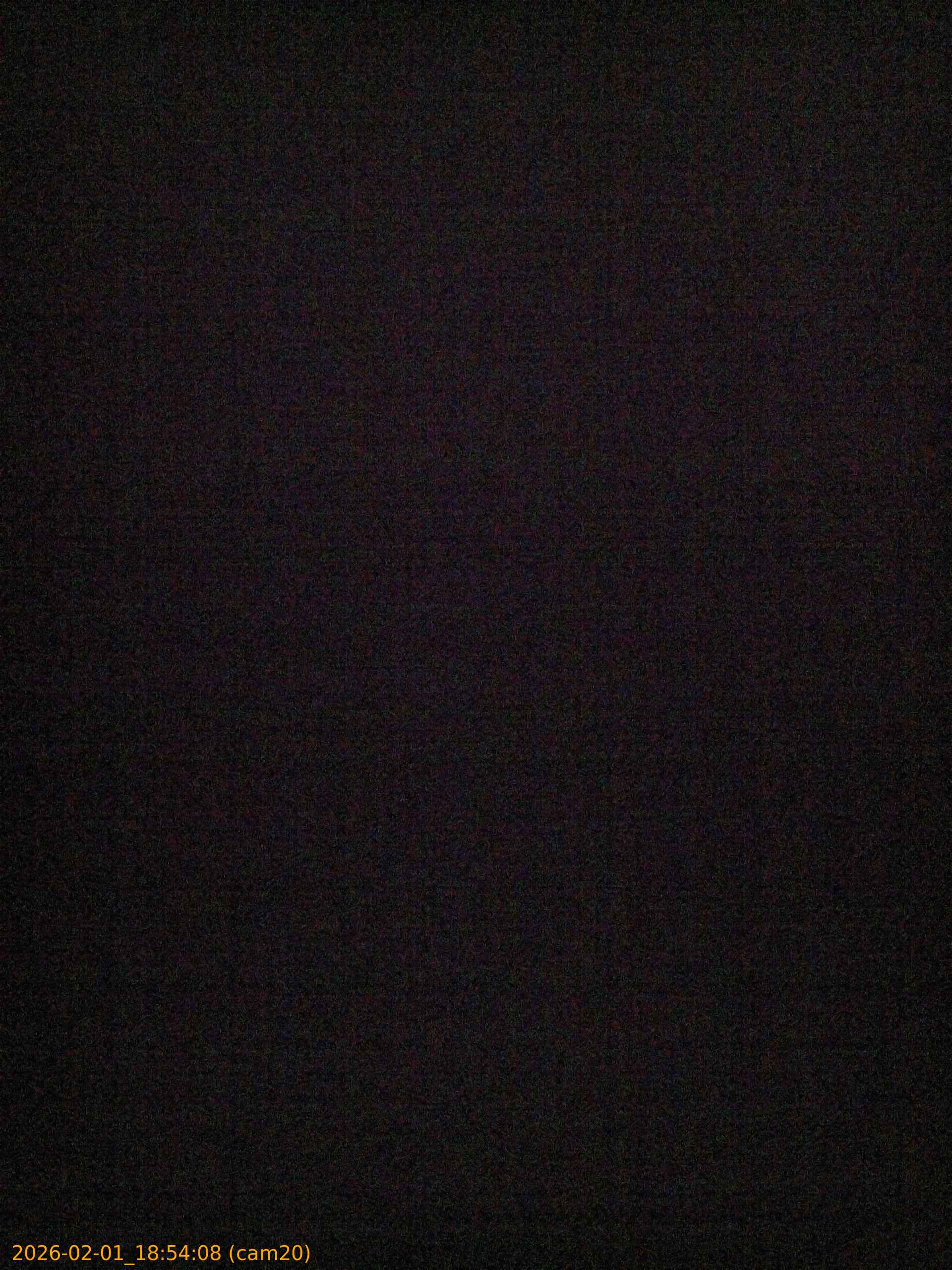 thumbnail_20260201185408