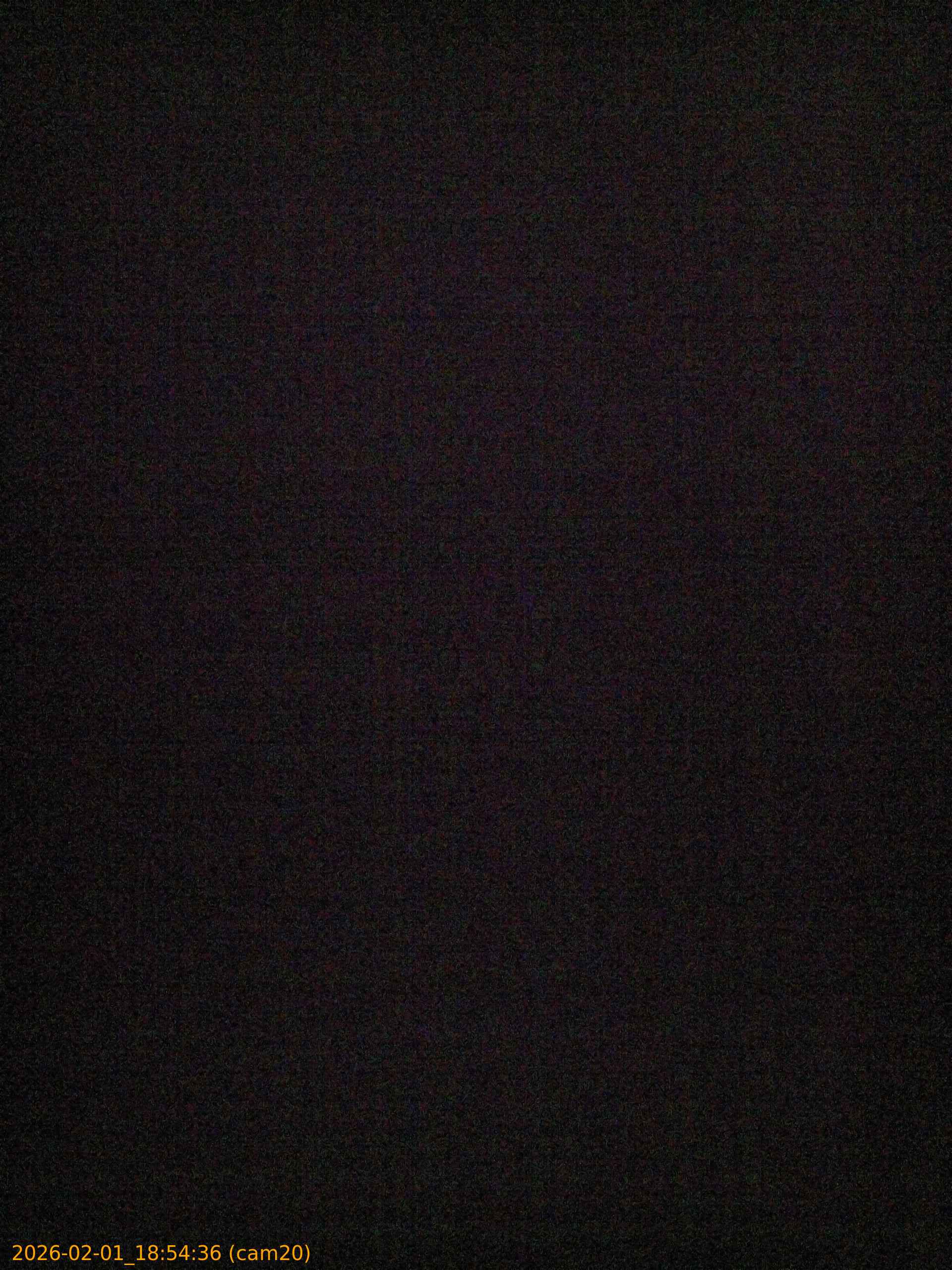 thumbnail_20260201185436