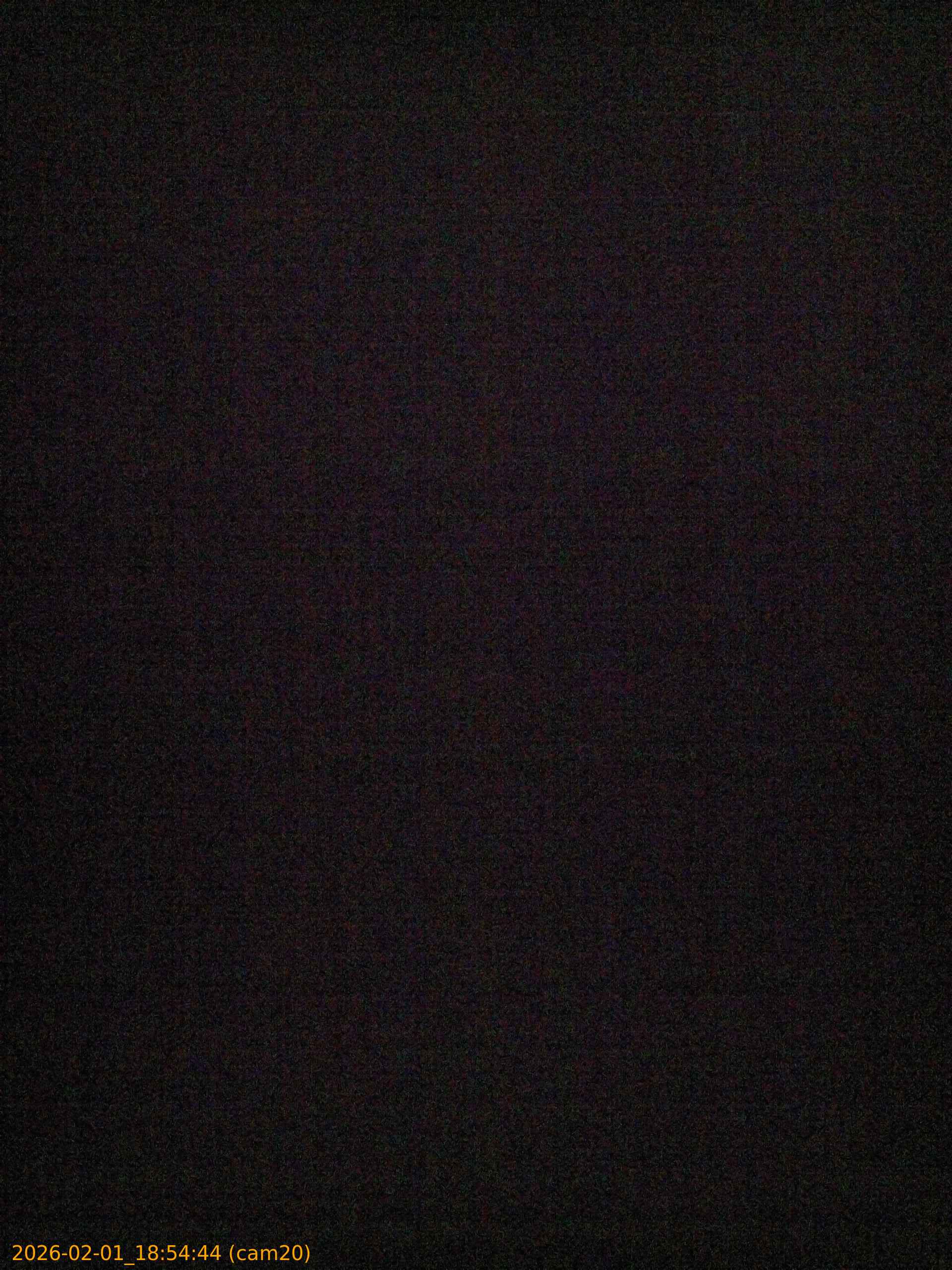 thumbnail_20260201185444