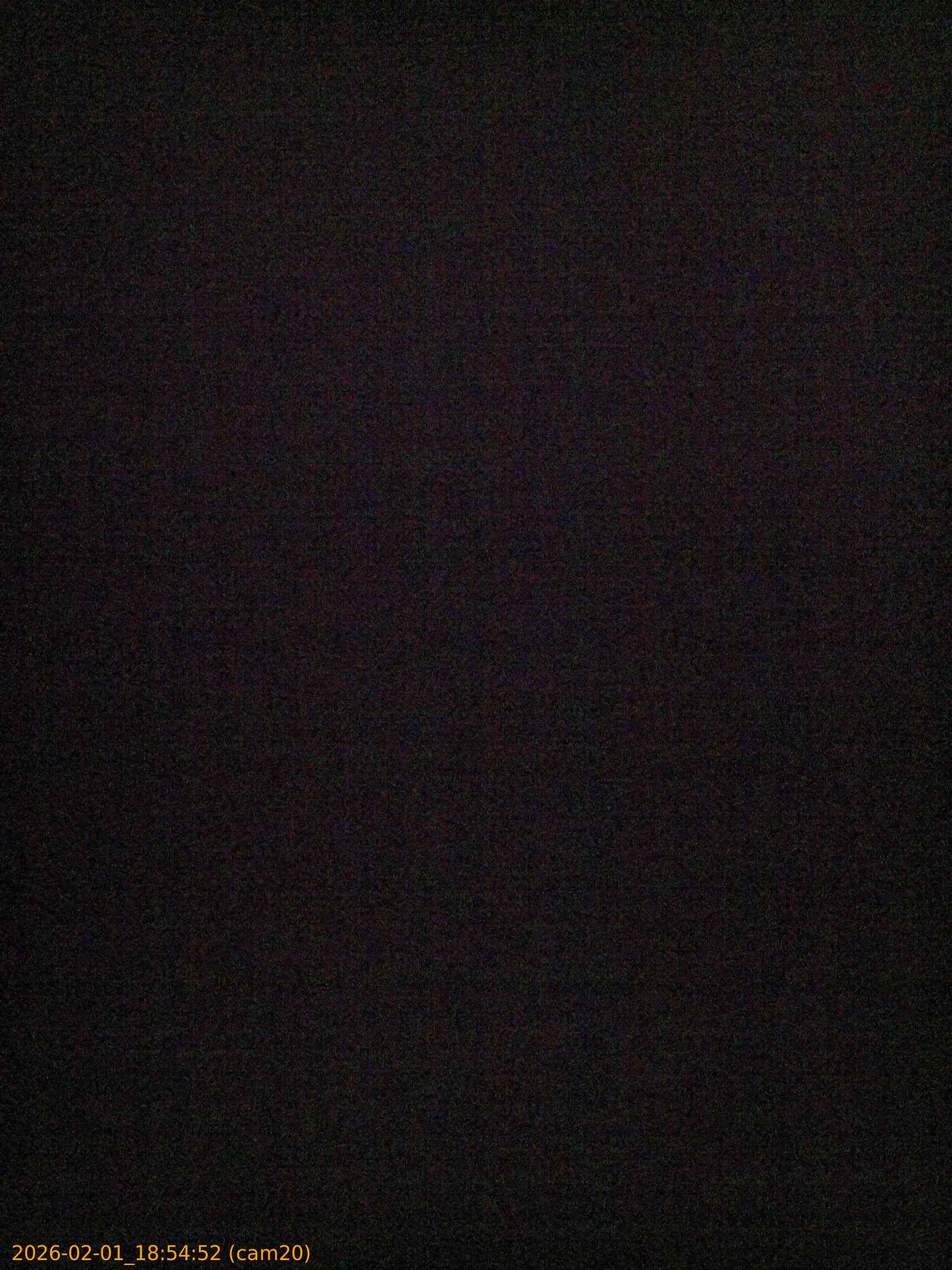 thumbnail_20260201185452