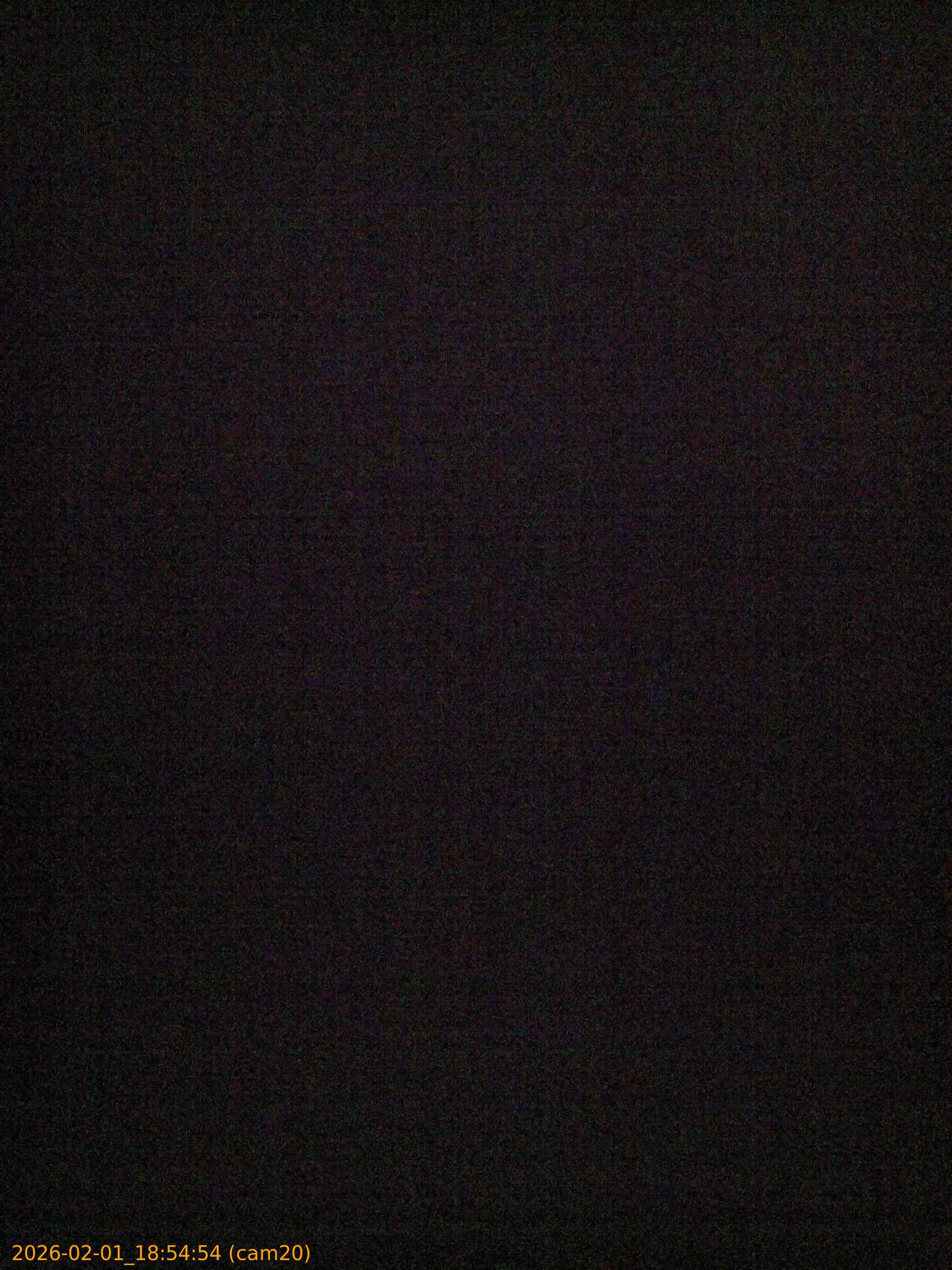 thumbnail_20260201185454