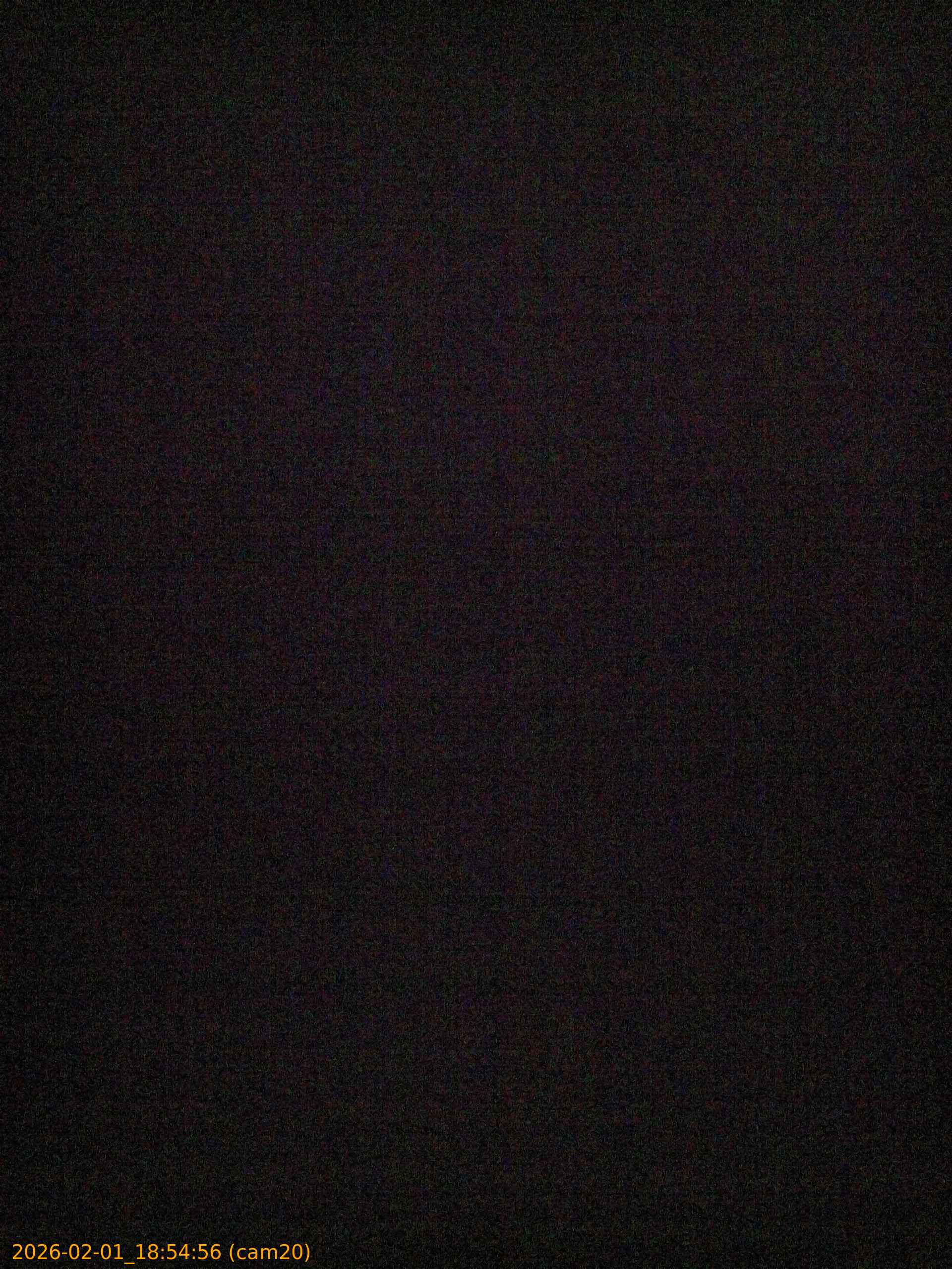 thumbnail_20260201185456