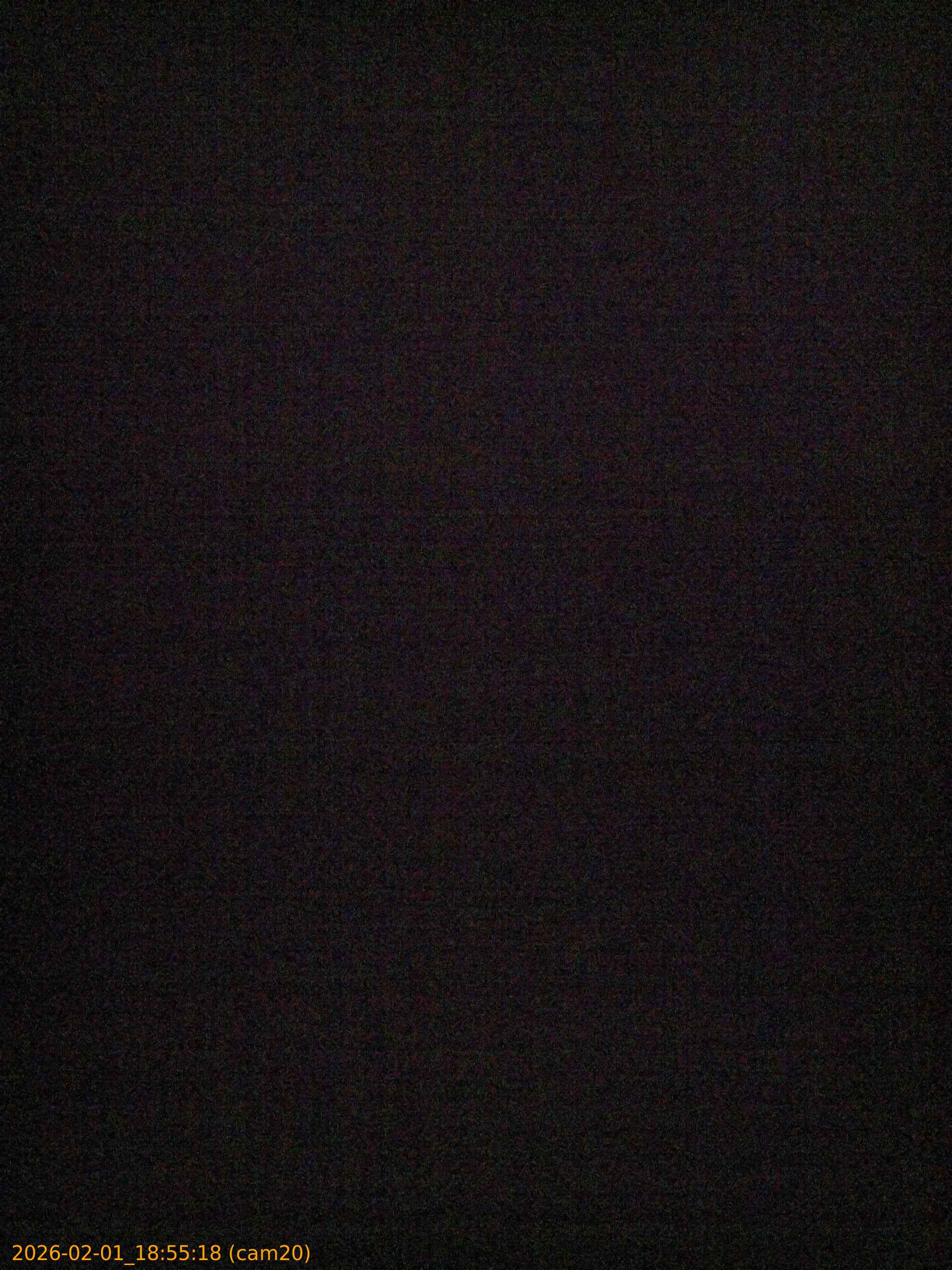 thumbnail_20260201185518