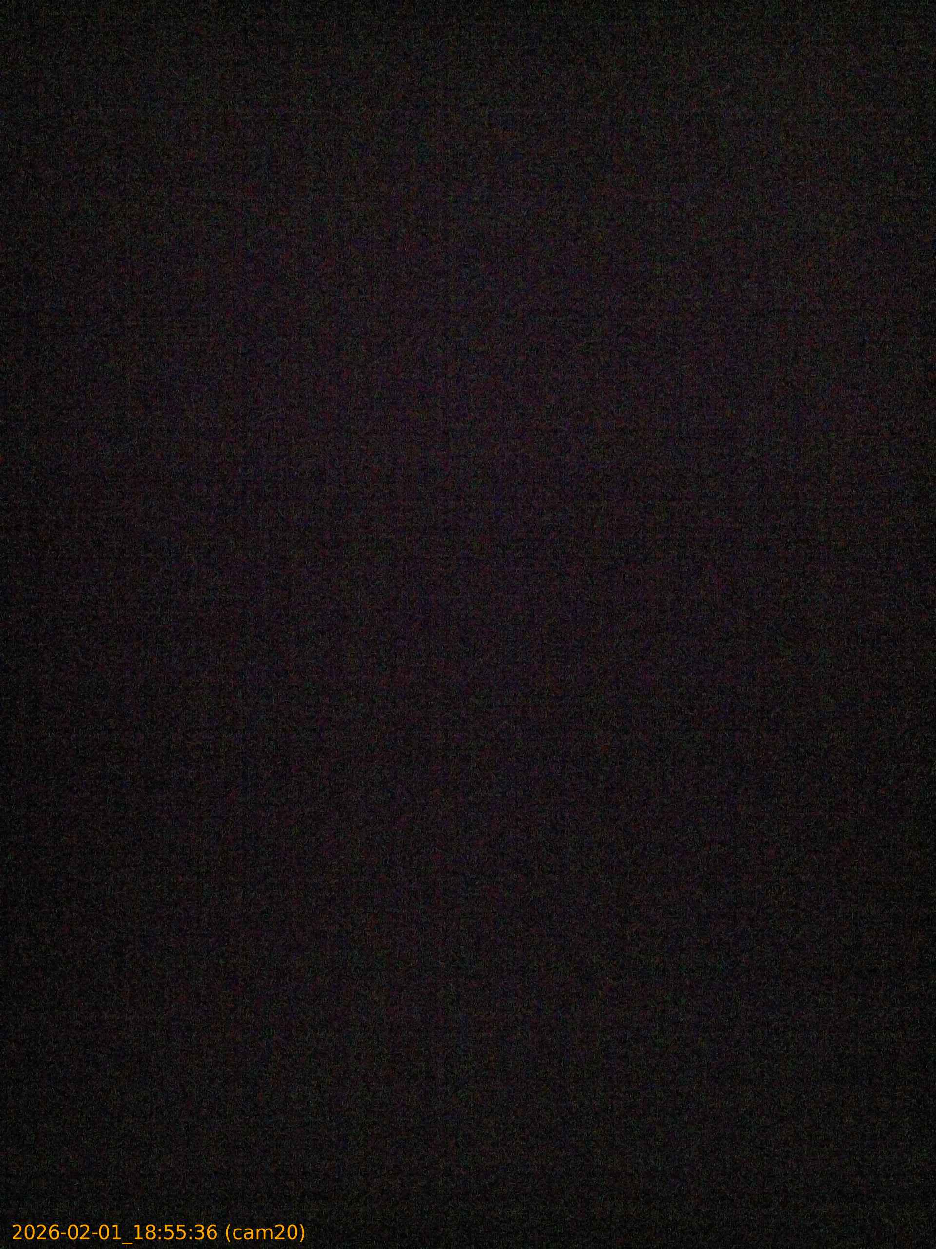 thumbnail_20260201185536