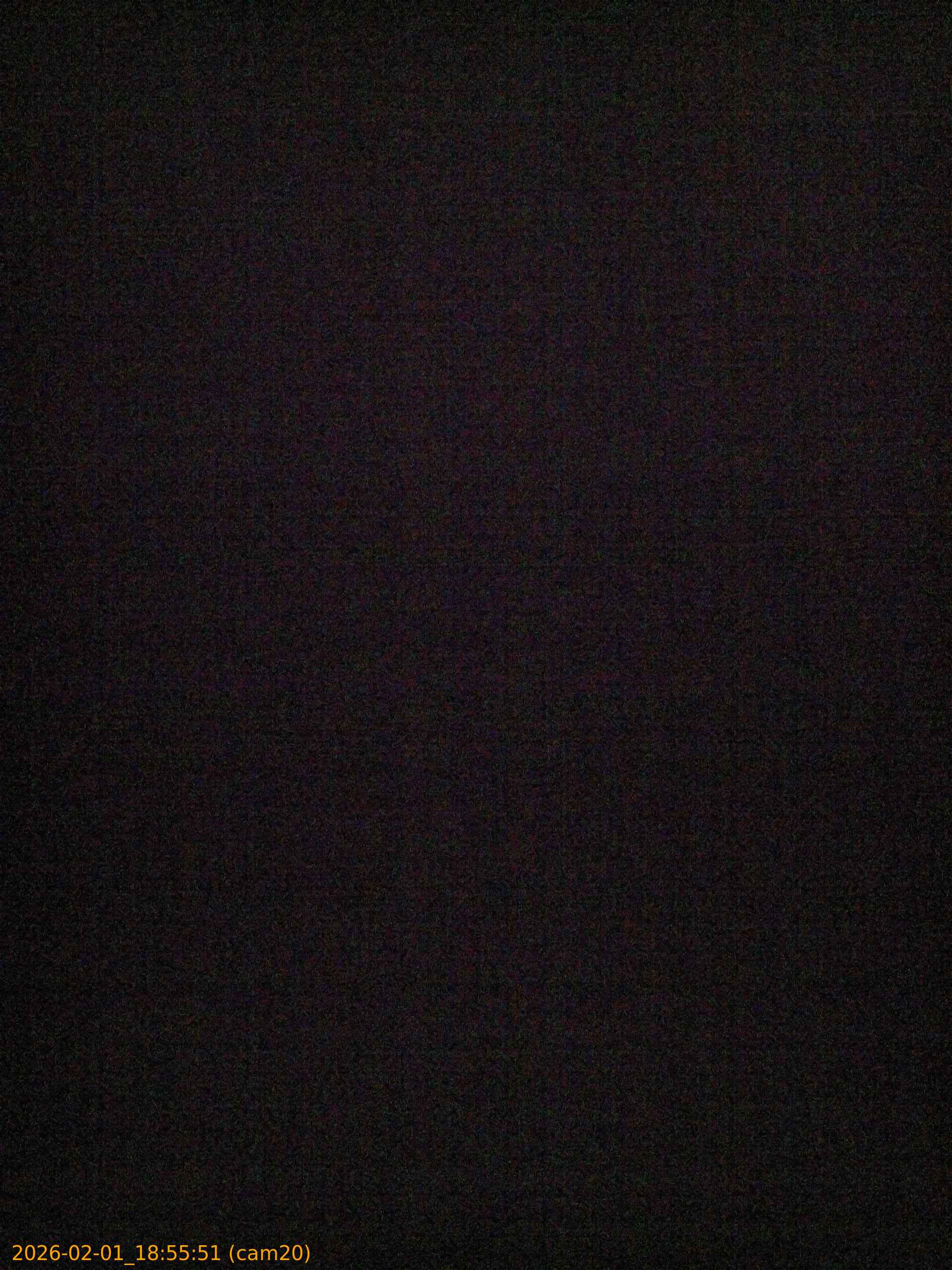 thumbnail_20260201185551