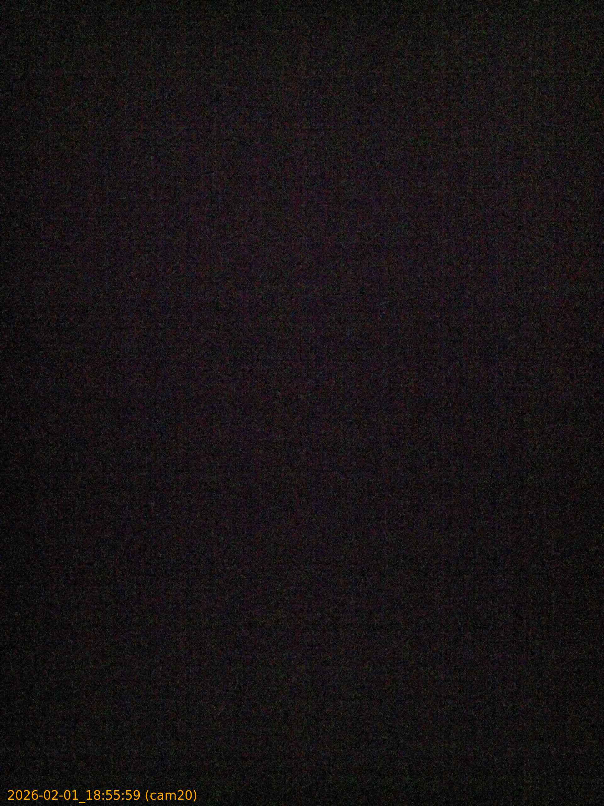 thumbnail_20260201185559