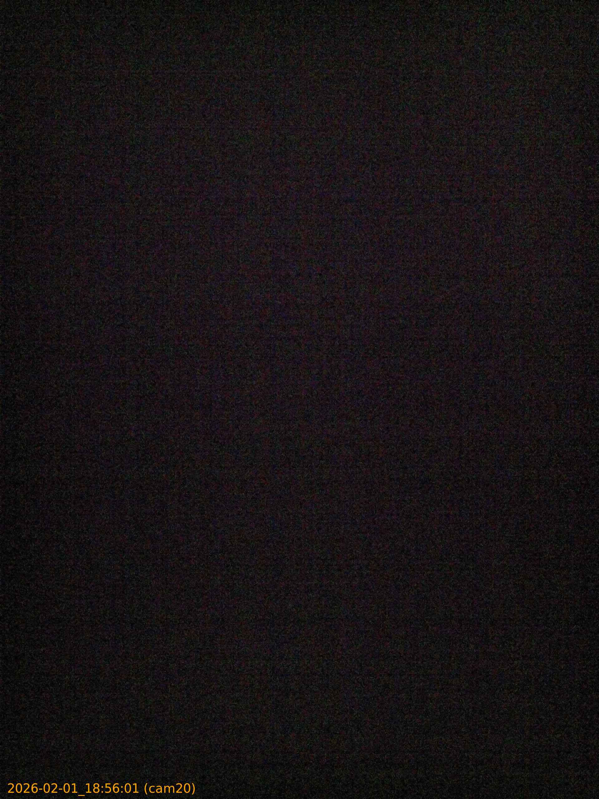 thumbnail_20260201185601