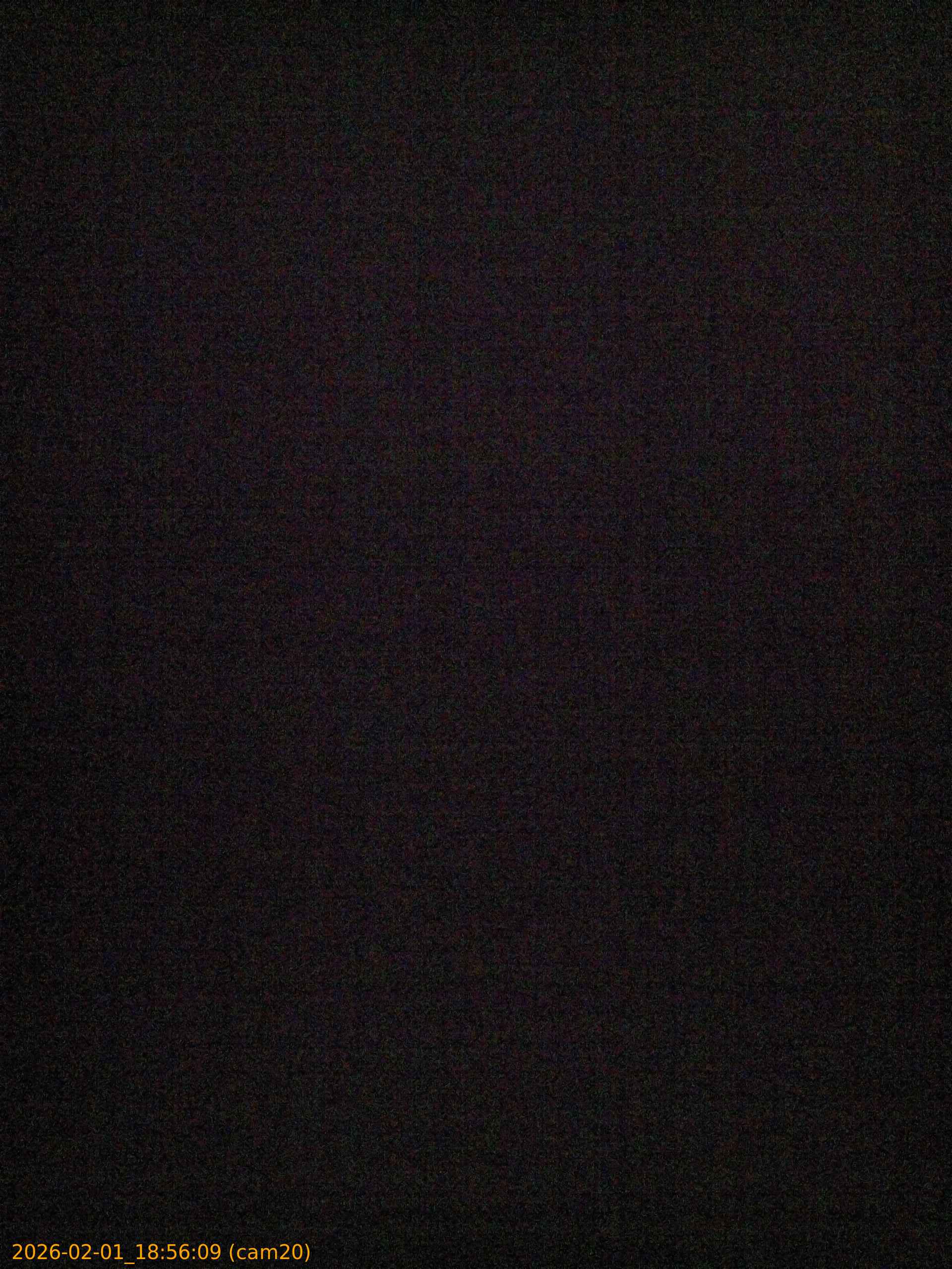 thumbnail_20260201185609