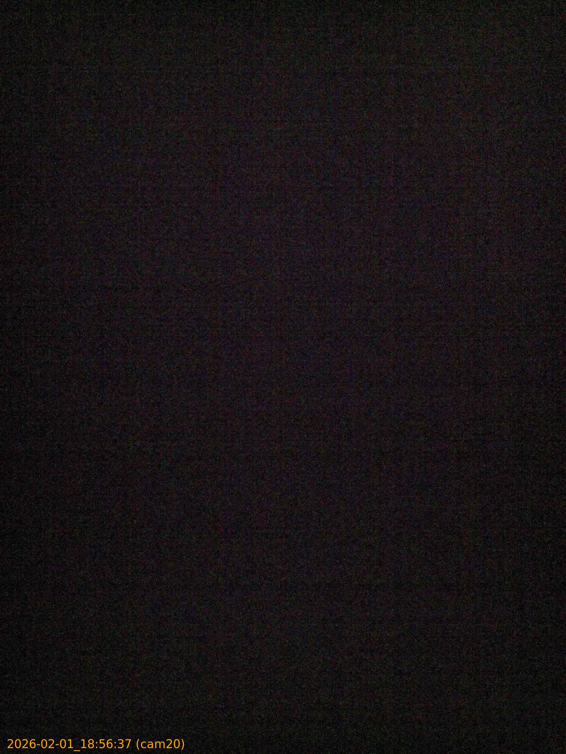 thumbnail_20260201185637