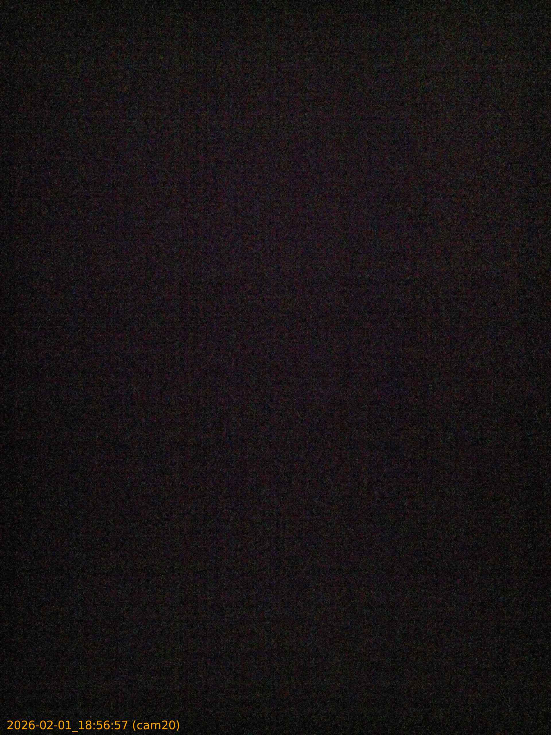 thumbnail_20260201185657